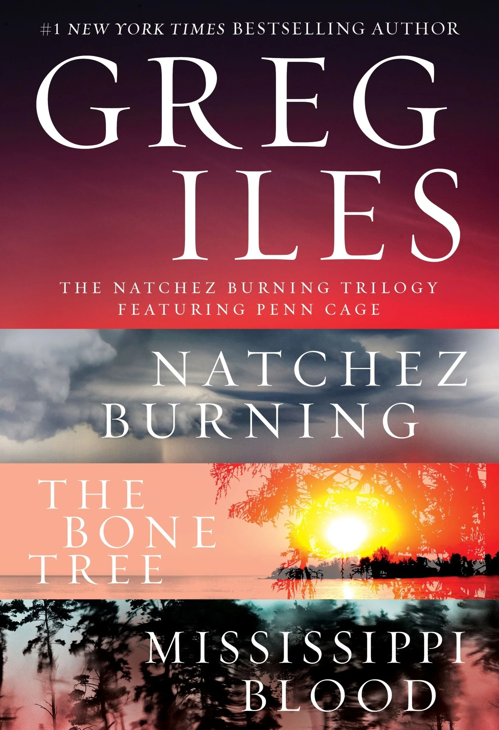 The Natchez Burning Trilogy - Image 2