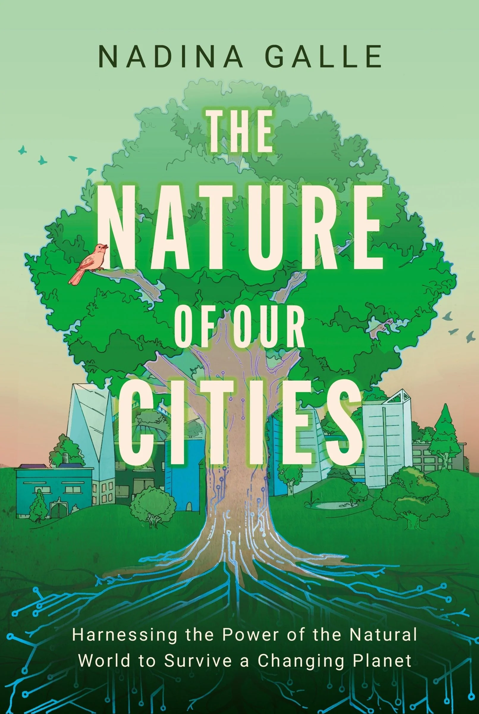 The Nature of Our Cities - Image 5