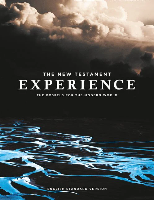 The New Testament Experience - Image 2