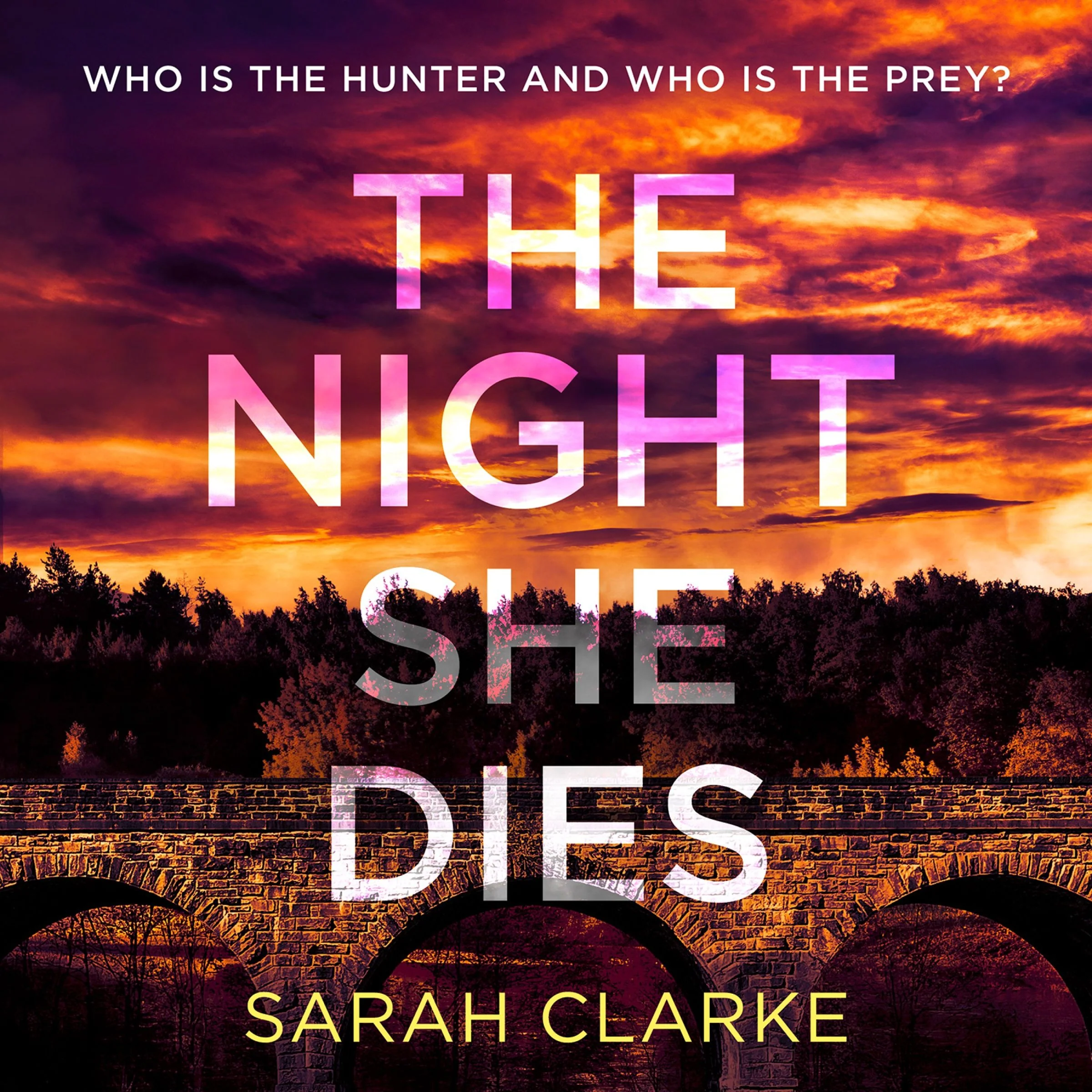 The Night She Dies - Image 3