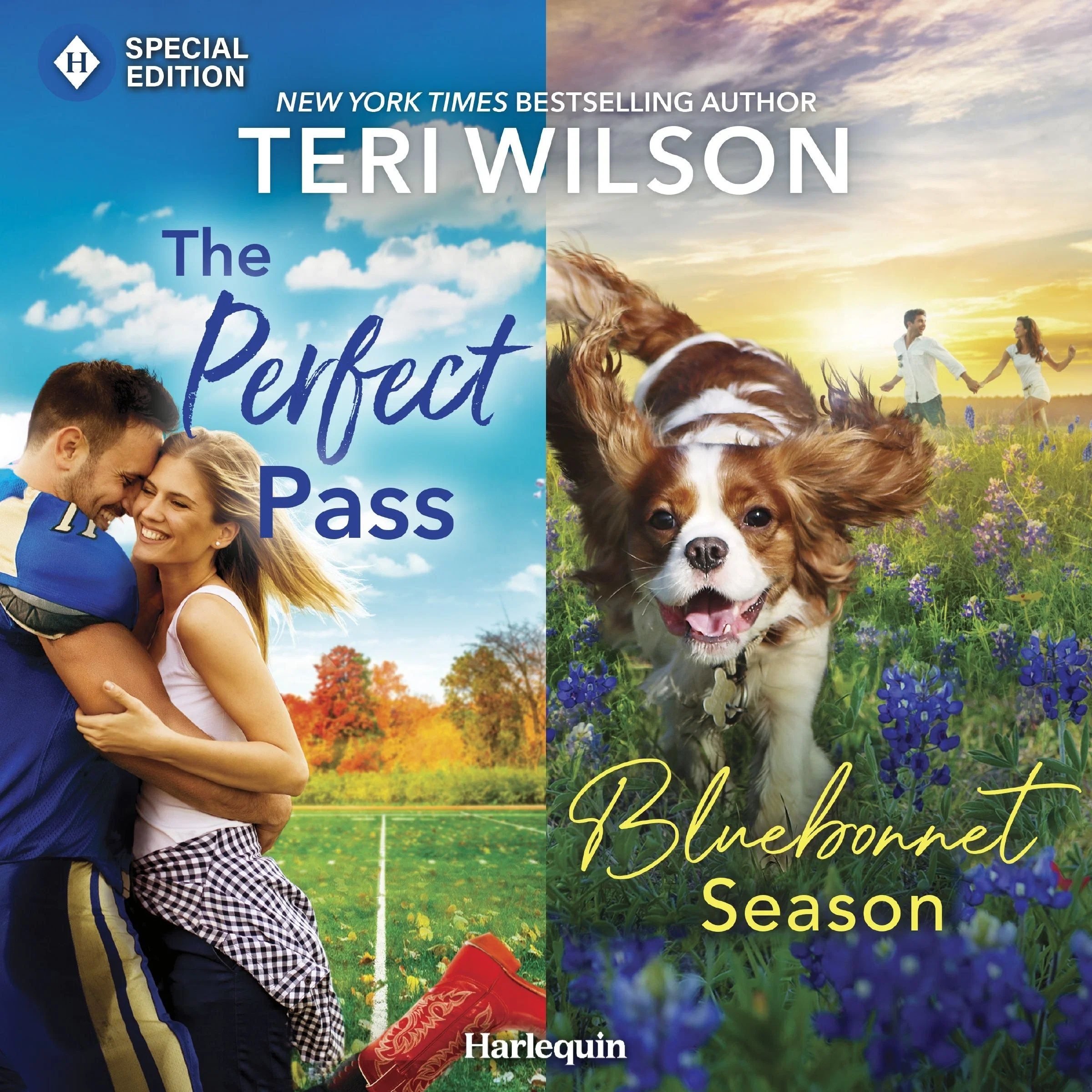The Perfect Pass & Bluebonnet Season - Image 2
