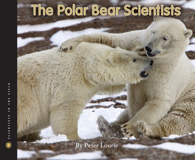 The Polar Bear Scientists - Image 4