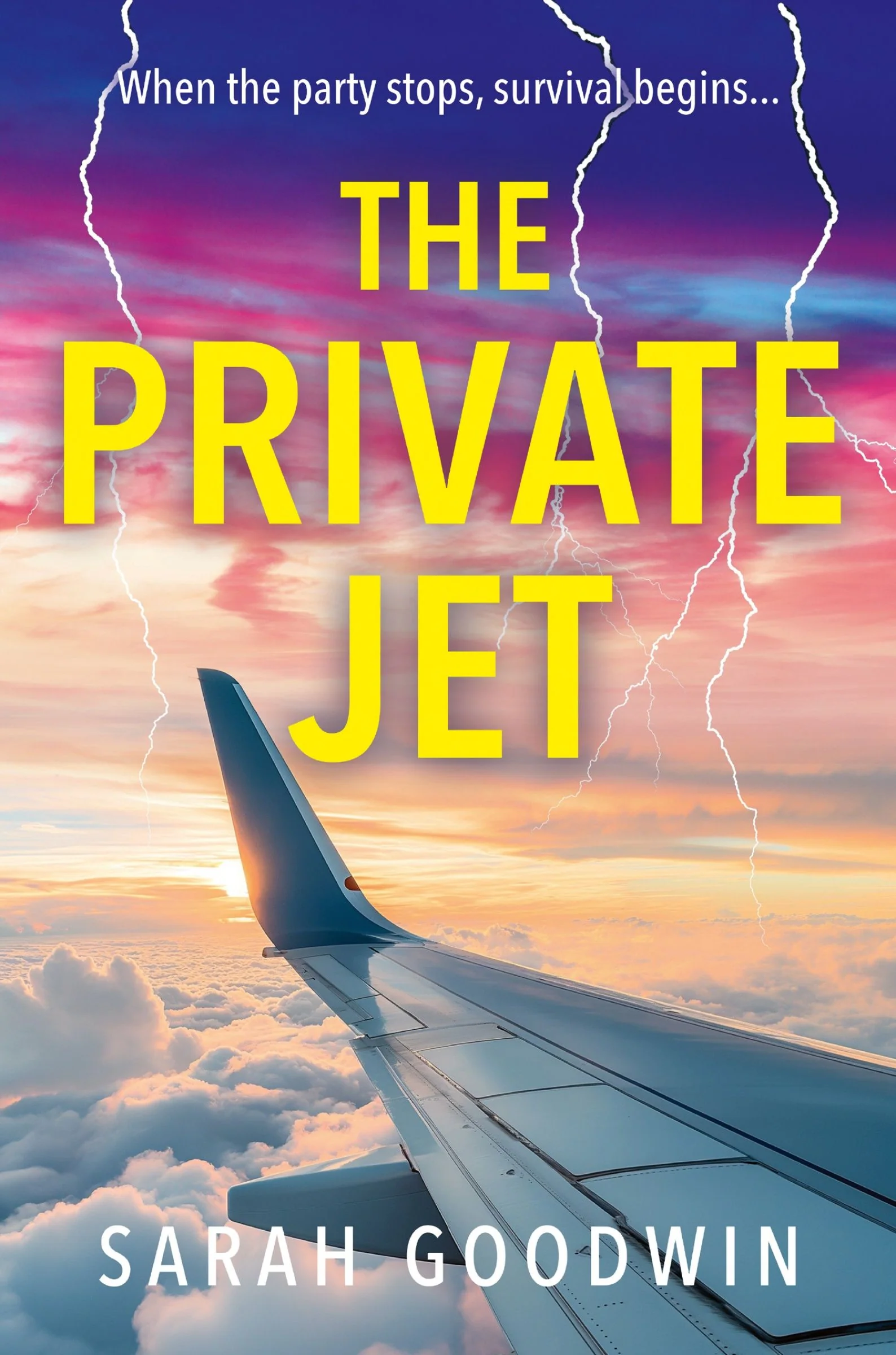 The Private Jet (The Thriller Collection, Book 7) - Image 2