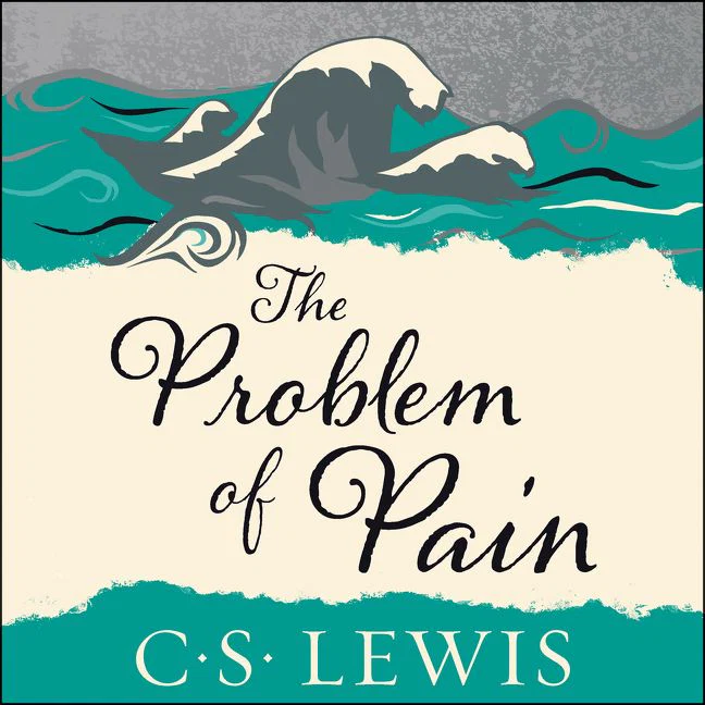 The Problem of Pain - Image 4