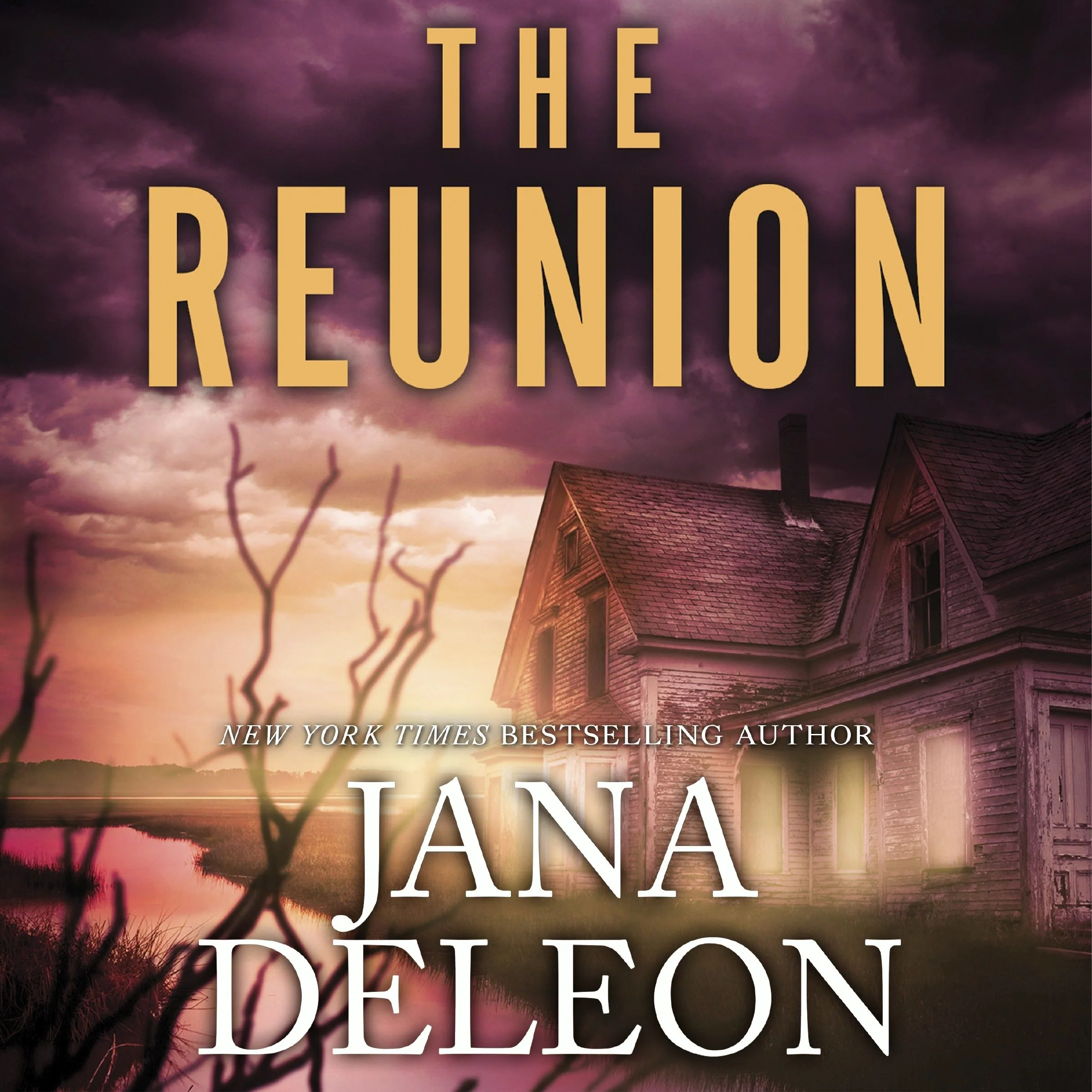 The Reunion - Image 2