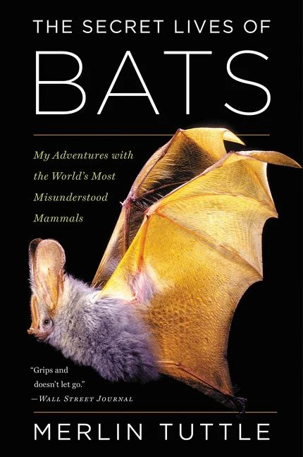 The Secret Lives Of Bats - Image 2