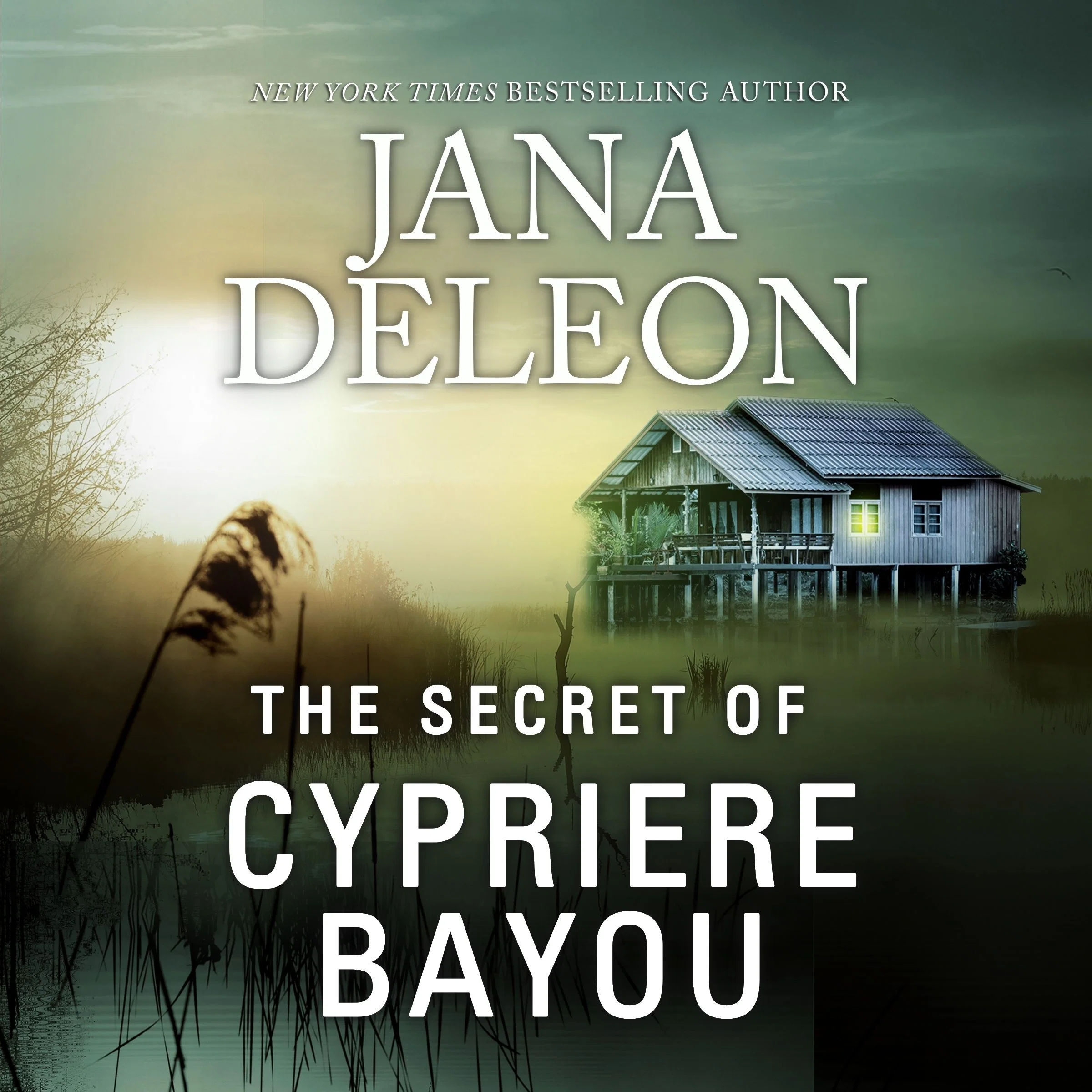 The Secret of Cypriere Bayou - Image 2