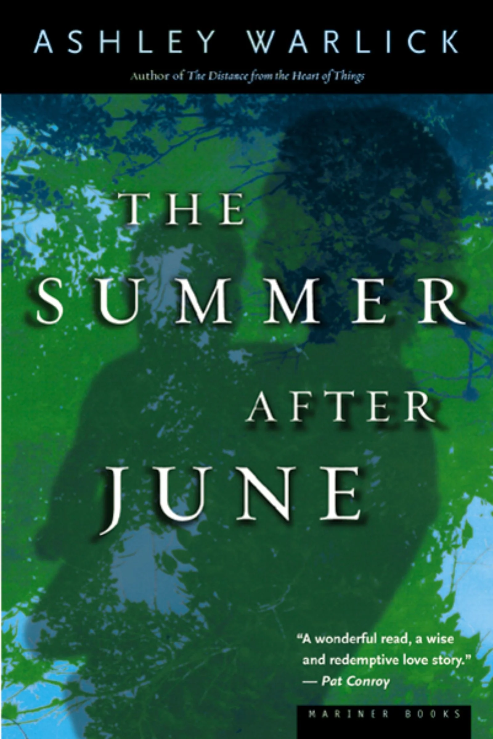 The Summer After June - Image 2