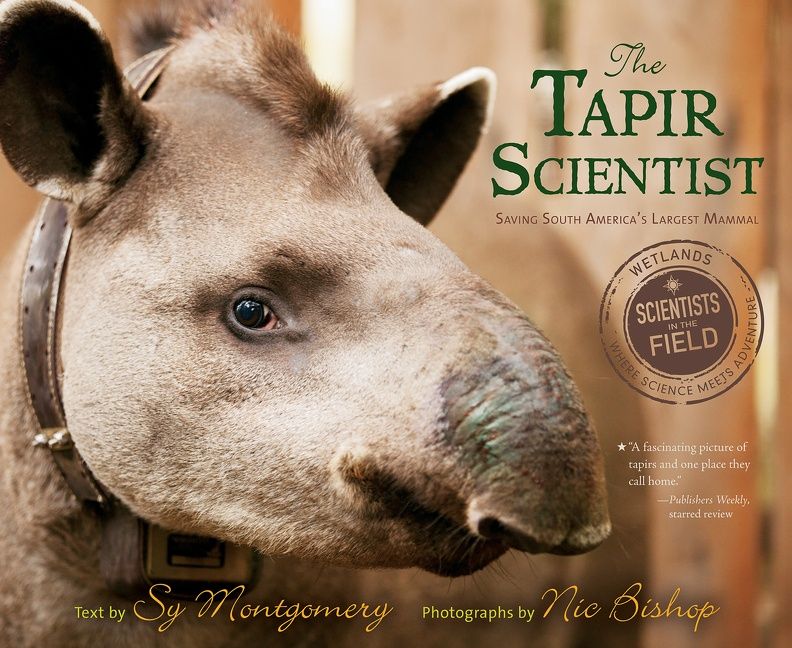 The Tapir Scientist - Image 3