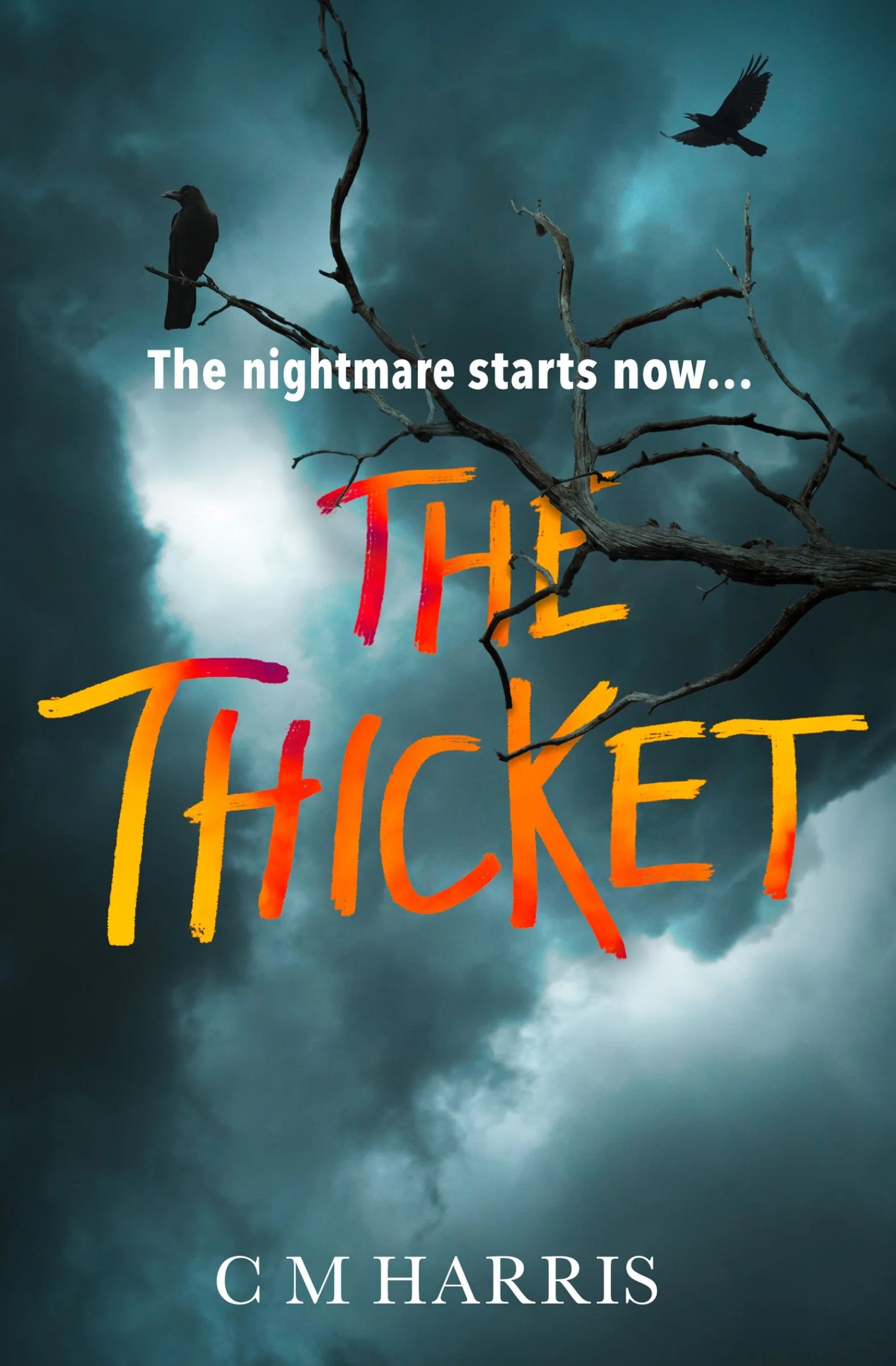 The Thicket - Image 2