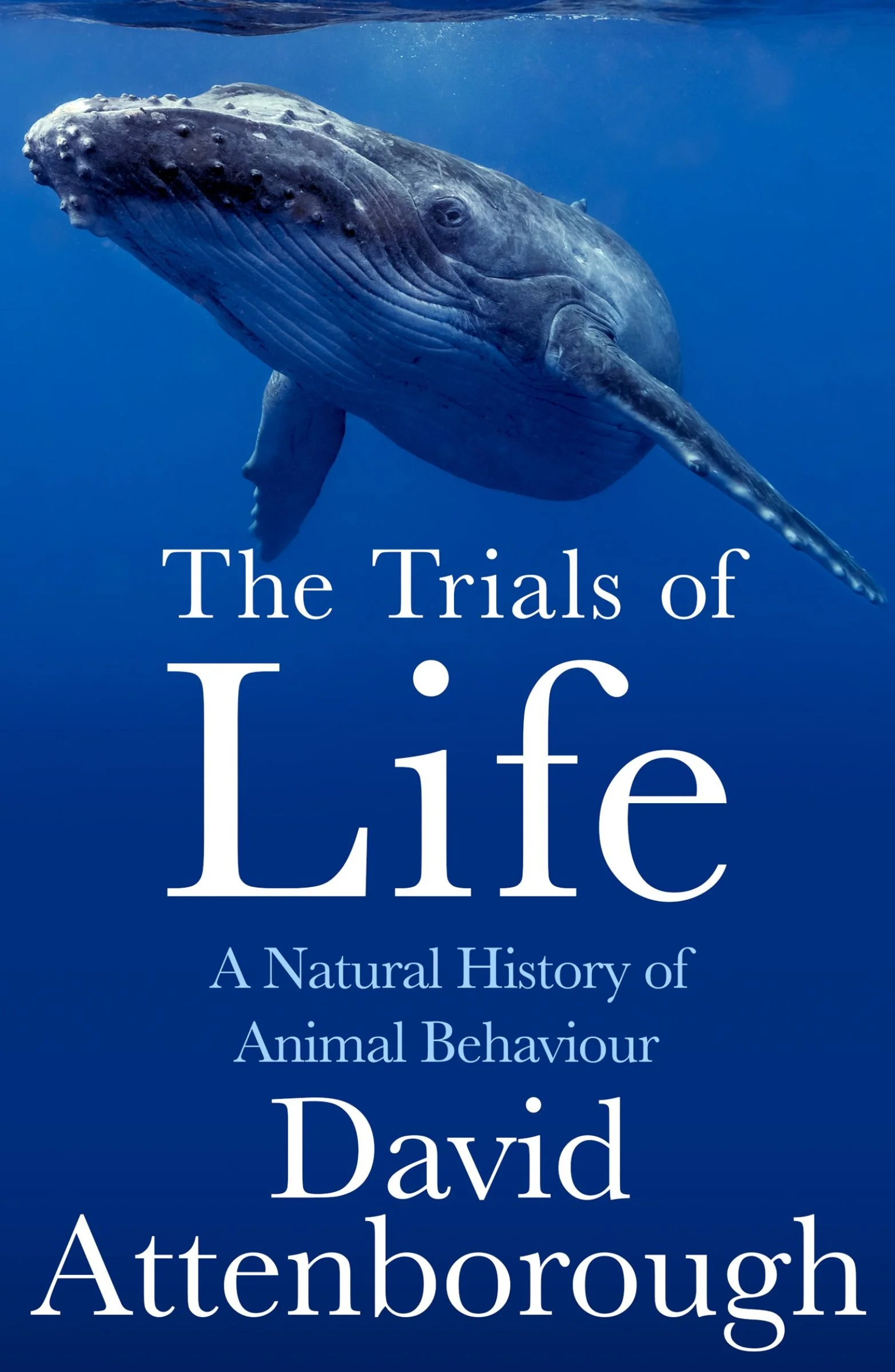 The Trials of Life: A Natural History of Animal Behaviour - Image 4