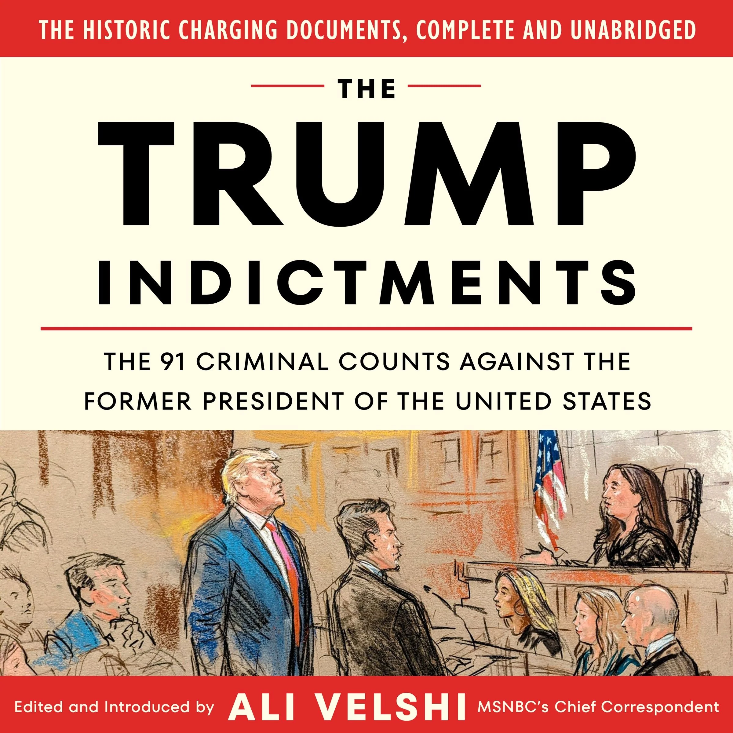 The Trump Indictments - Image 4
