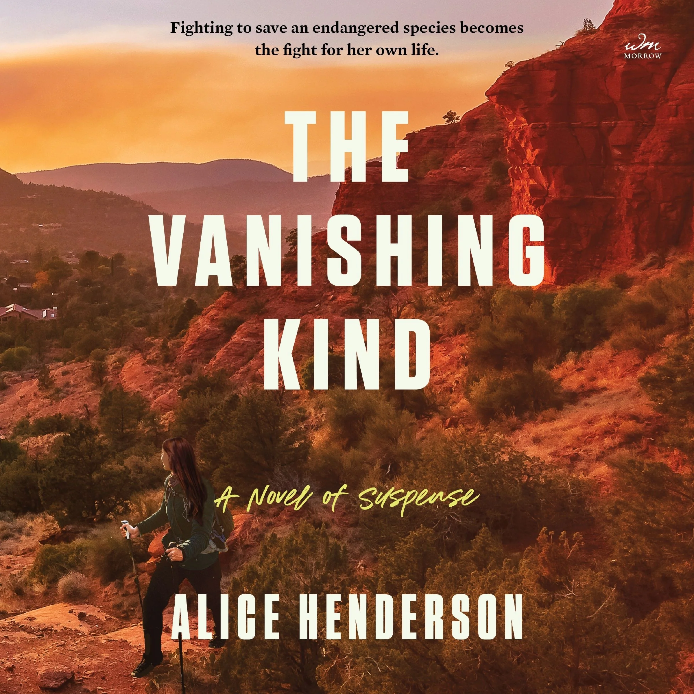 The Vanishing Kind - Image 4