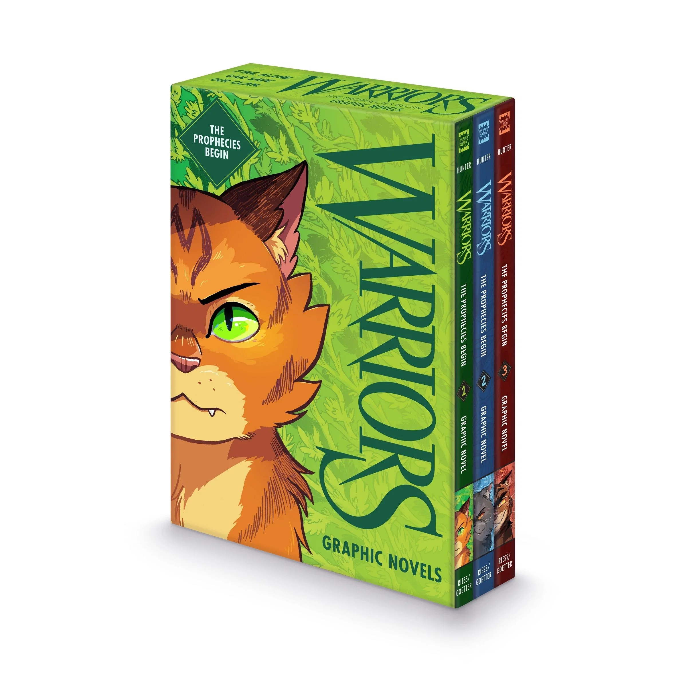 The Warriors Graphic Novel Box Set: The Prophecies Begin - Image 2