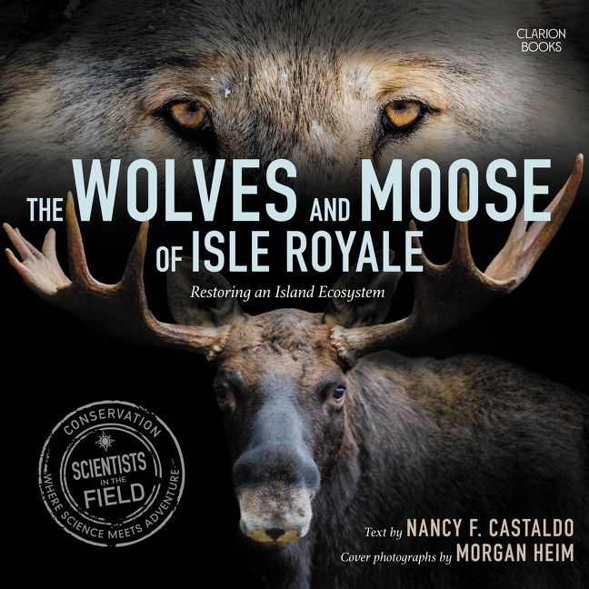 The Wolves and Moose of Isle Royale - Image 3