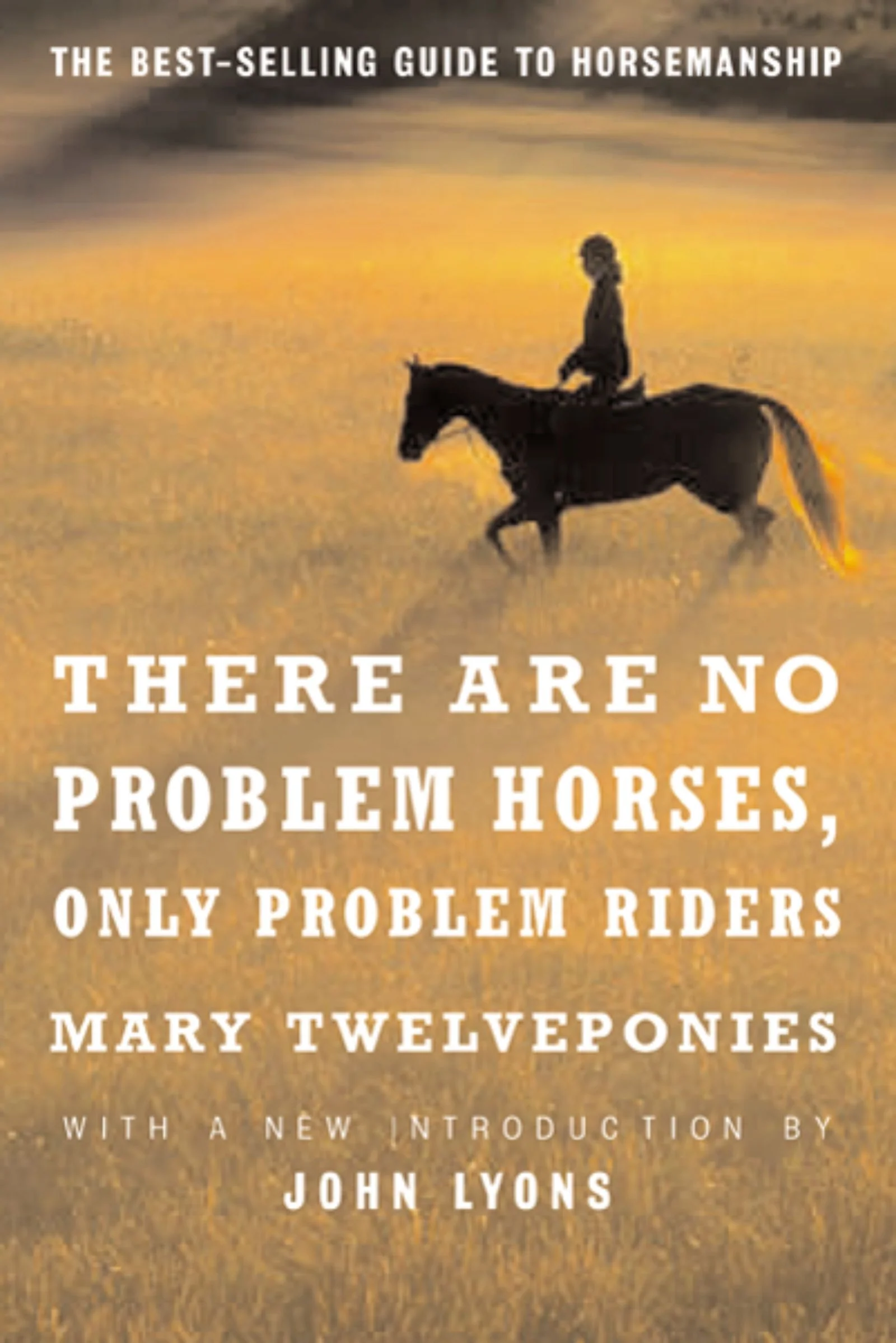 There Are No Problem Horses, Only Problem Riders - Image 2