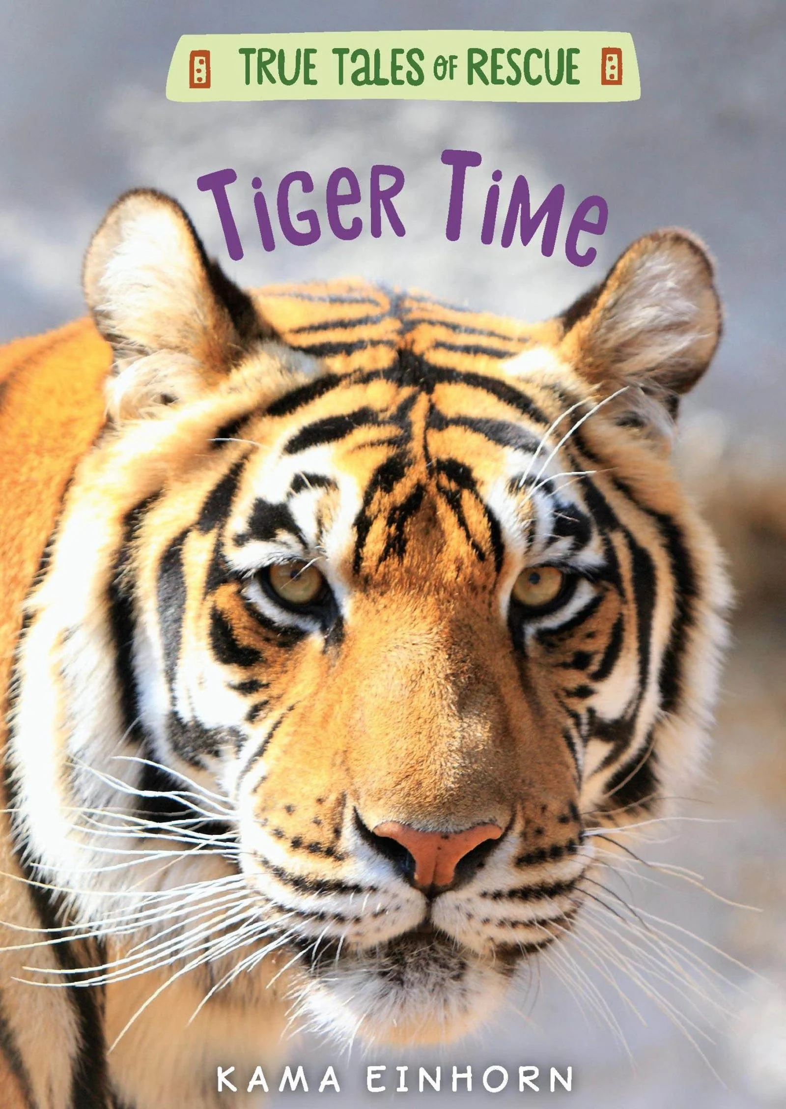 Tiger Time - Image 2