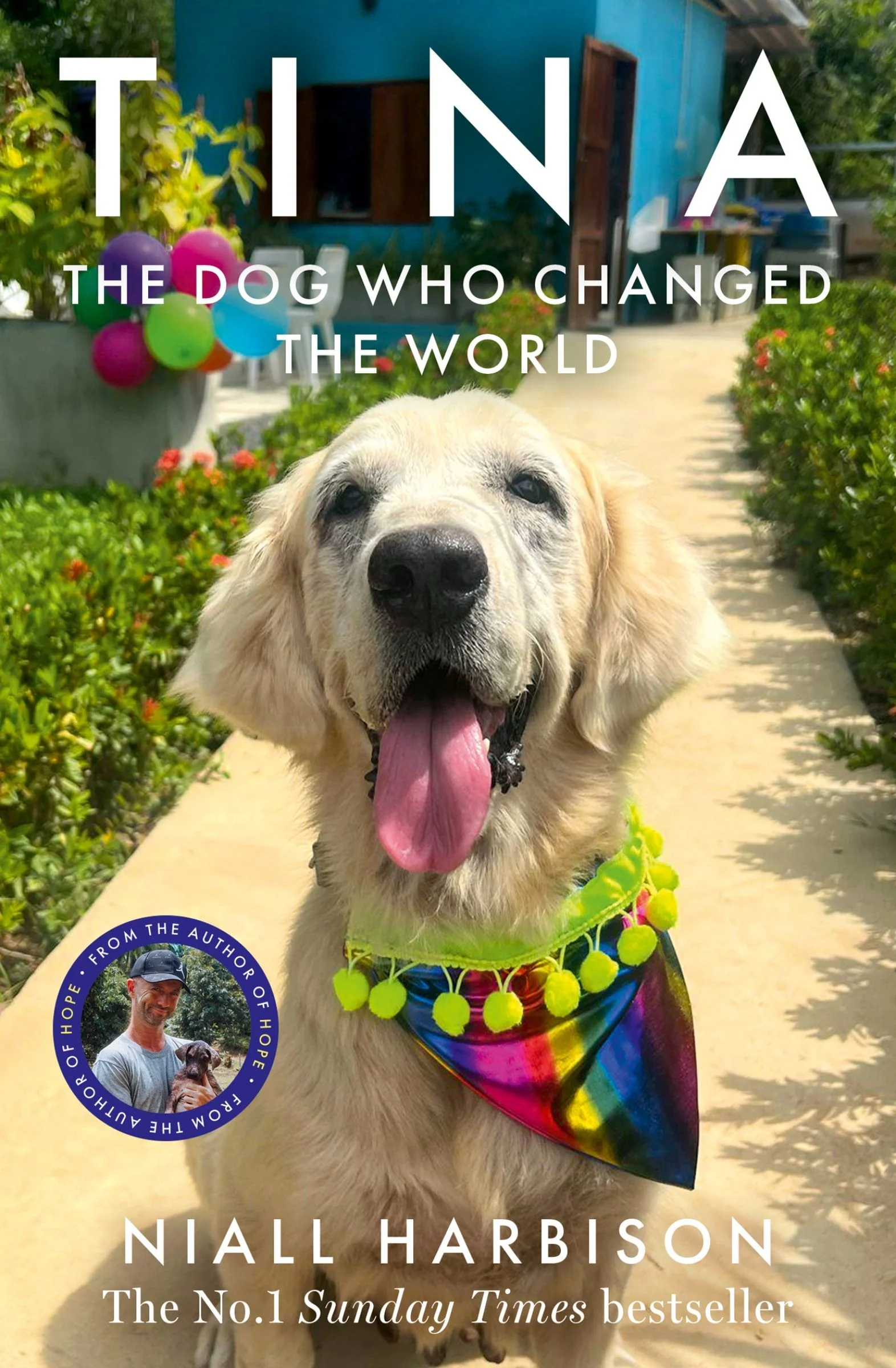 Tina: The Dog Who Changed the World - Image 2