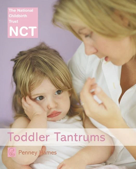 Toddler Tantrums - Image 2