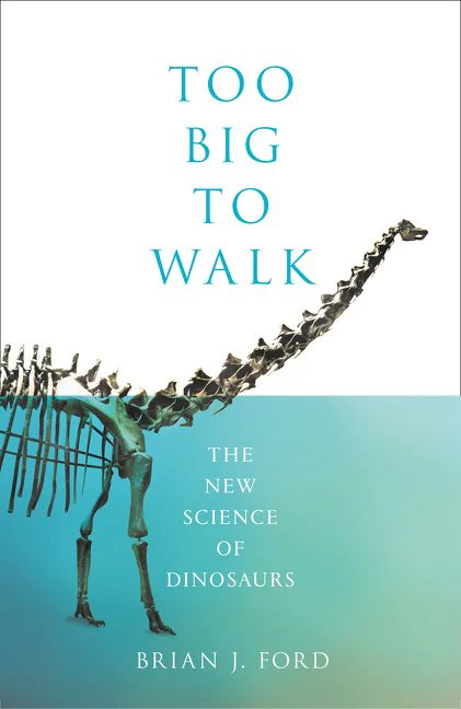 Too Big to Walk - Image 3