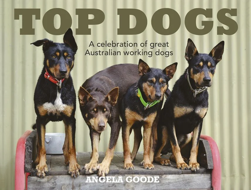 Top Dogs: A Celebration of Great Australian Working Dogs - Image 2