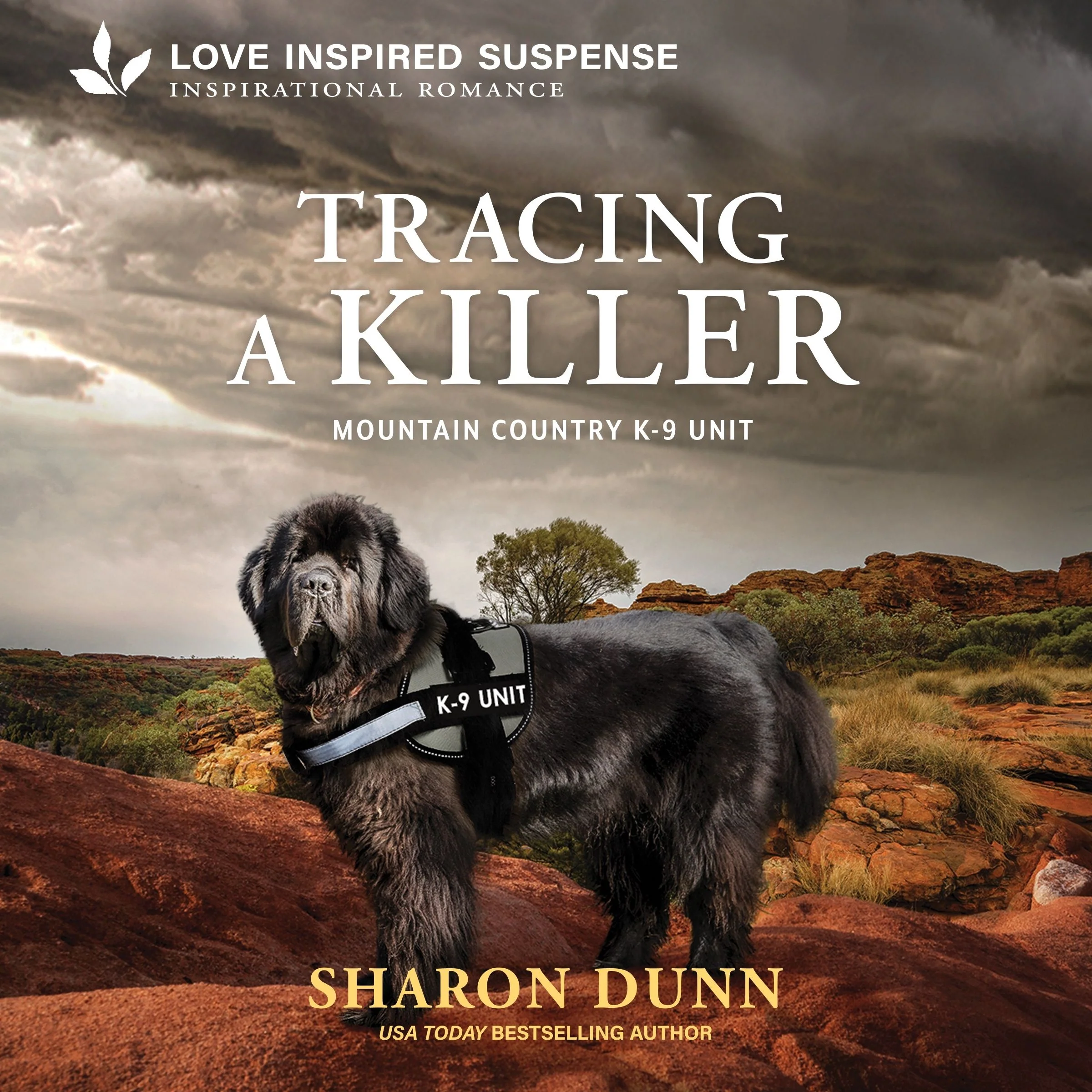 Tracing a Killer - Image 2