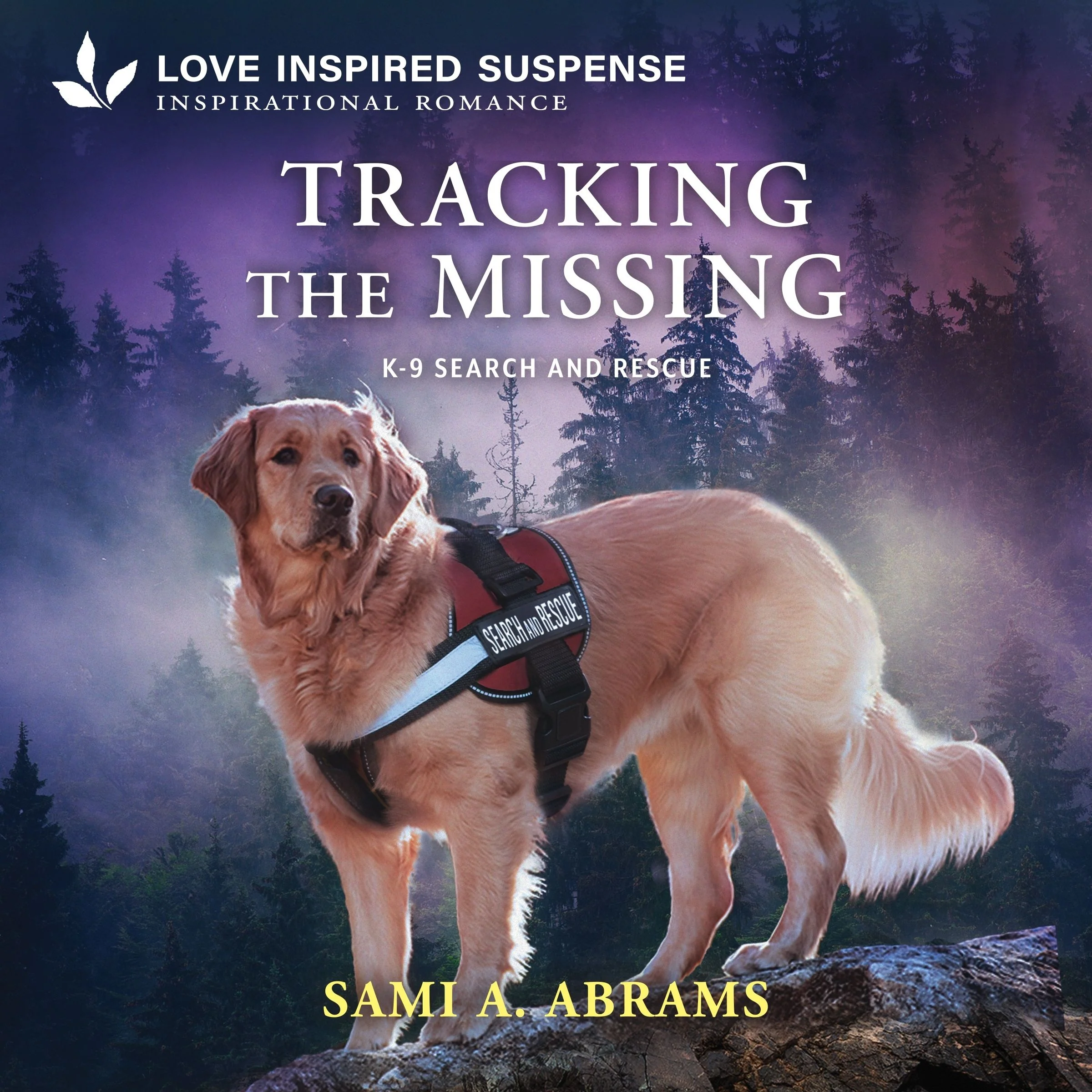 Tracking the Missing - Image 2