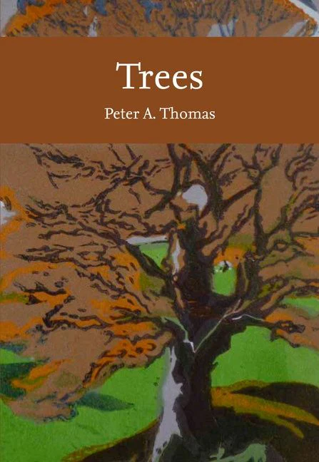 Trees - Image 2