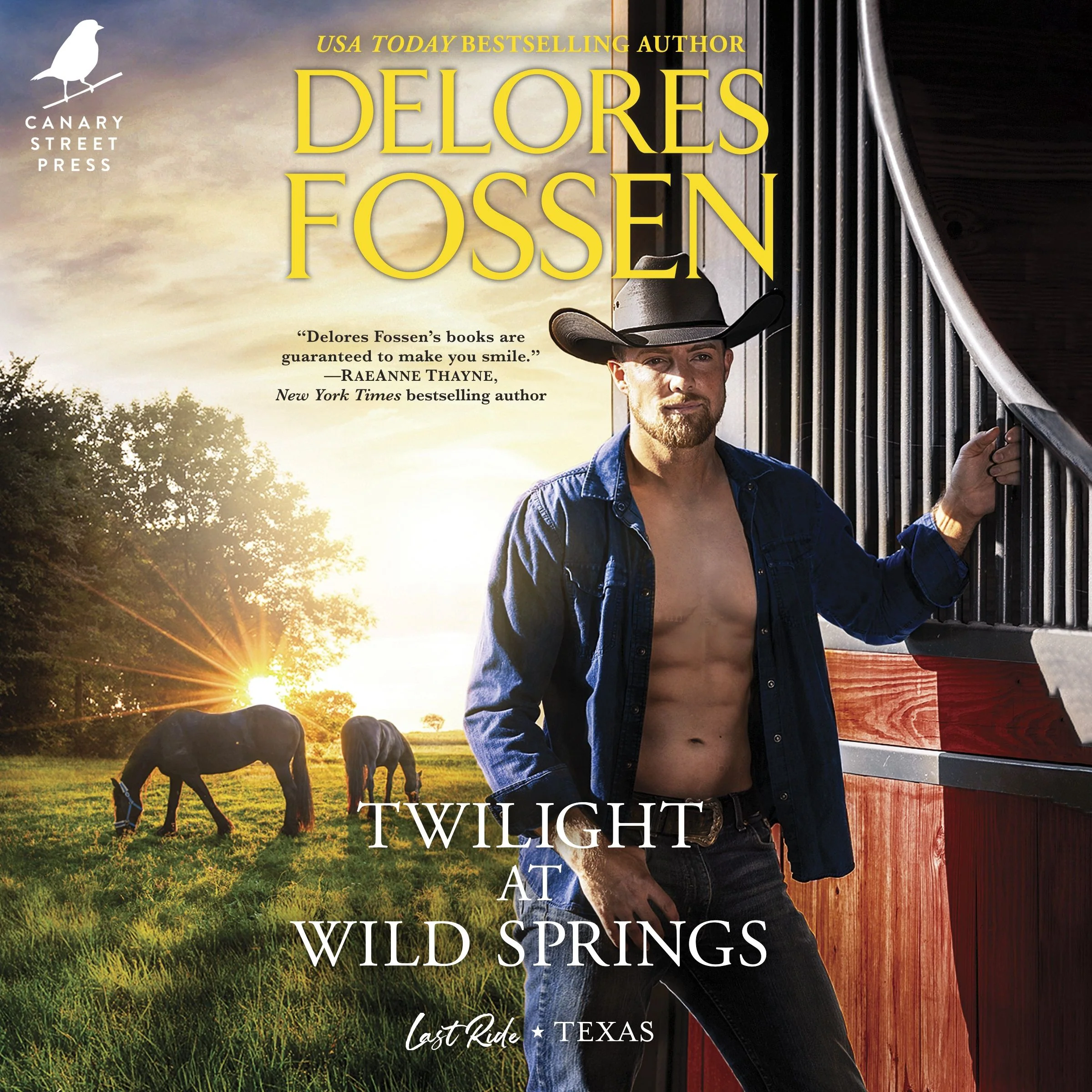 Twilight at Wild Springs - Image 3