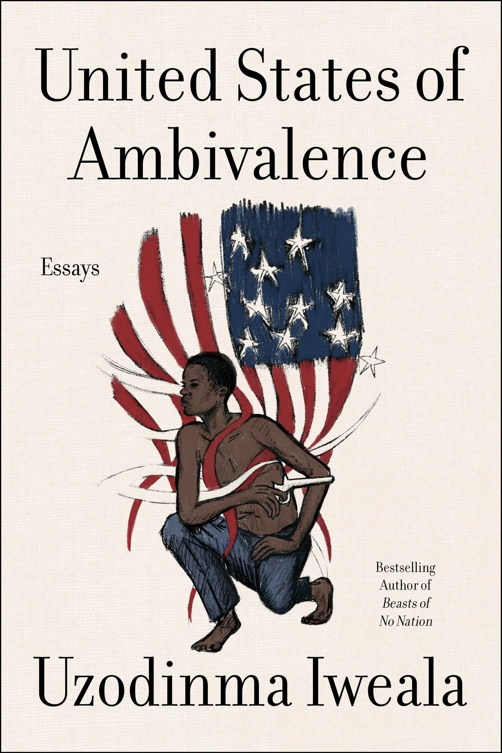 United States of Ambivalence - Image 2