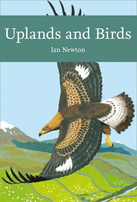 Uplands and Birds - Image 2