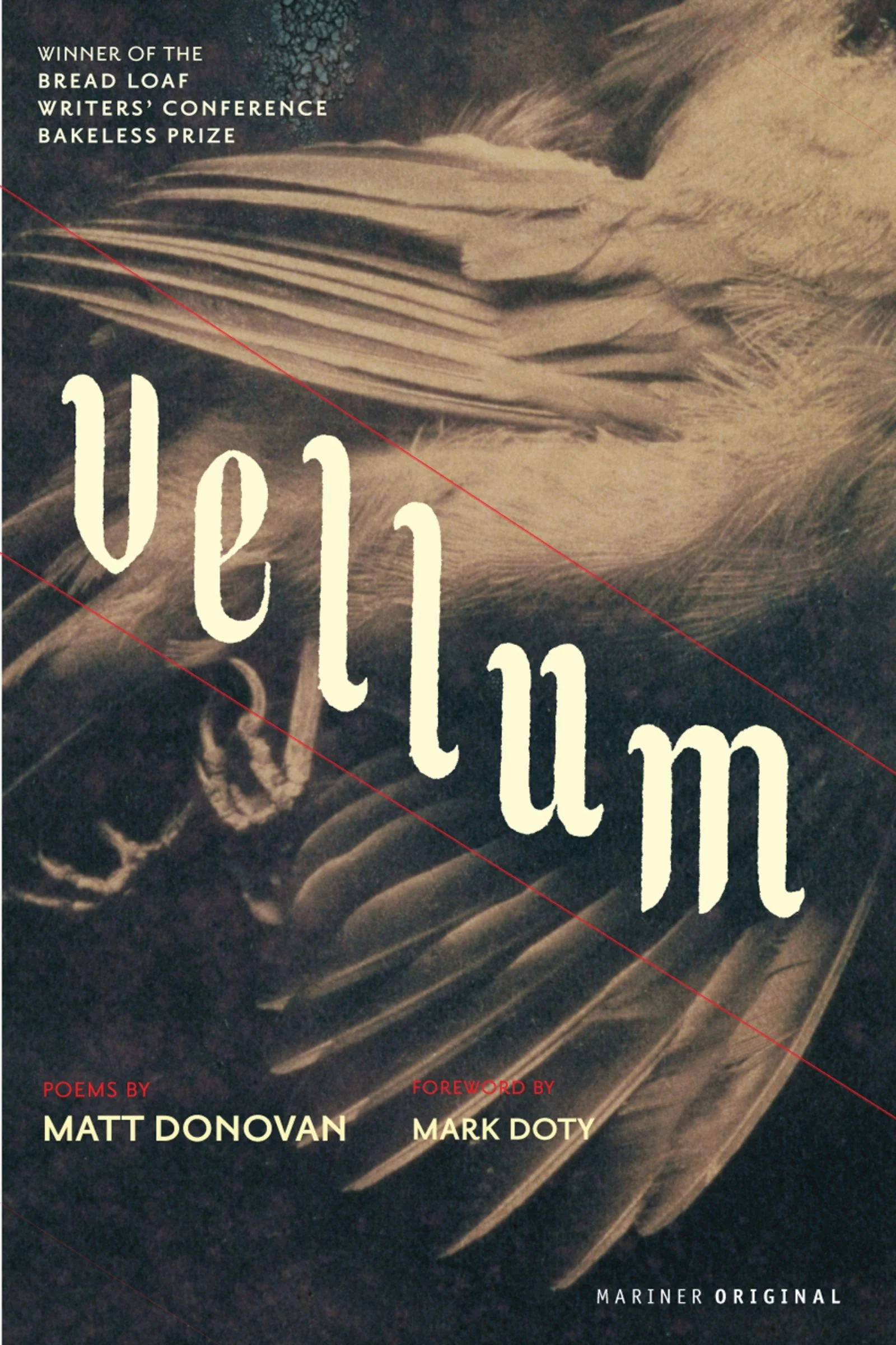 Vellum - Image 2