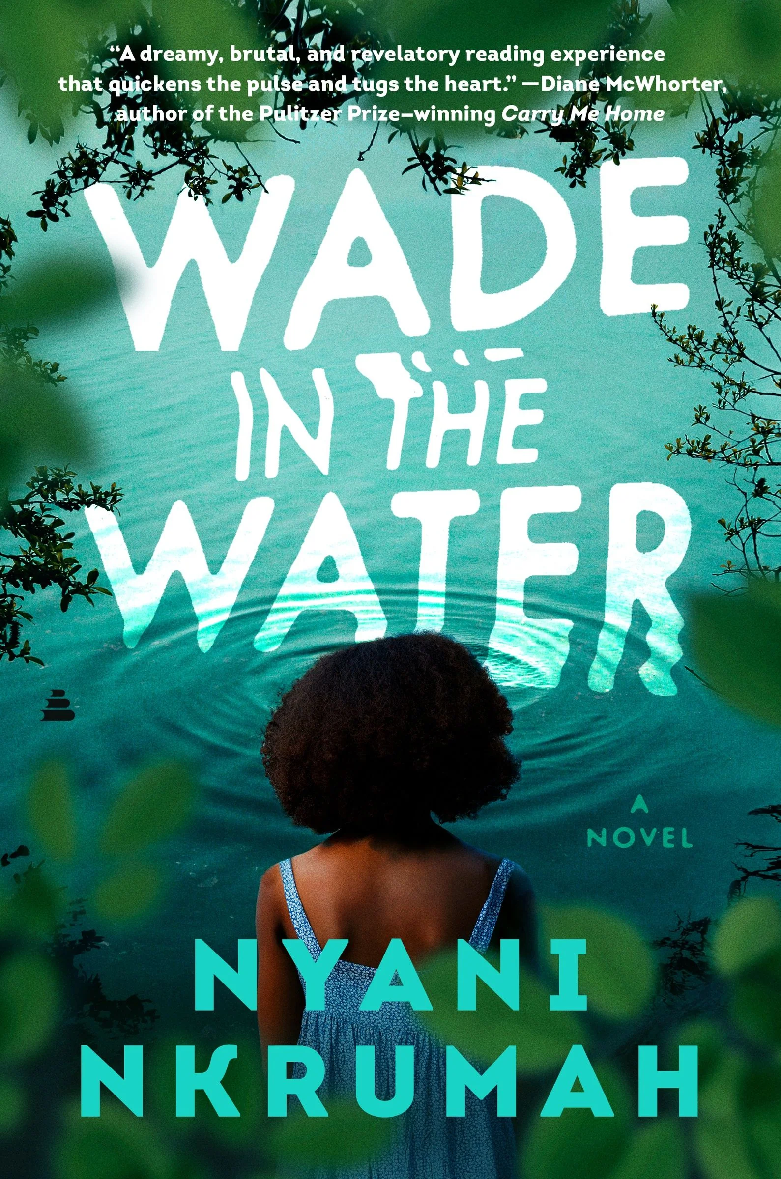 Wade in the Water - Image 2