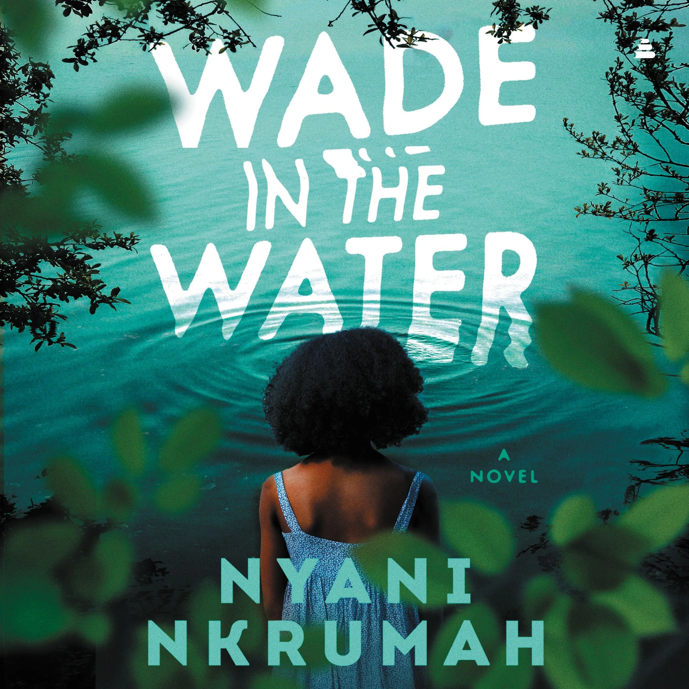 Wade in the Water - Image 4