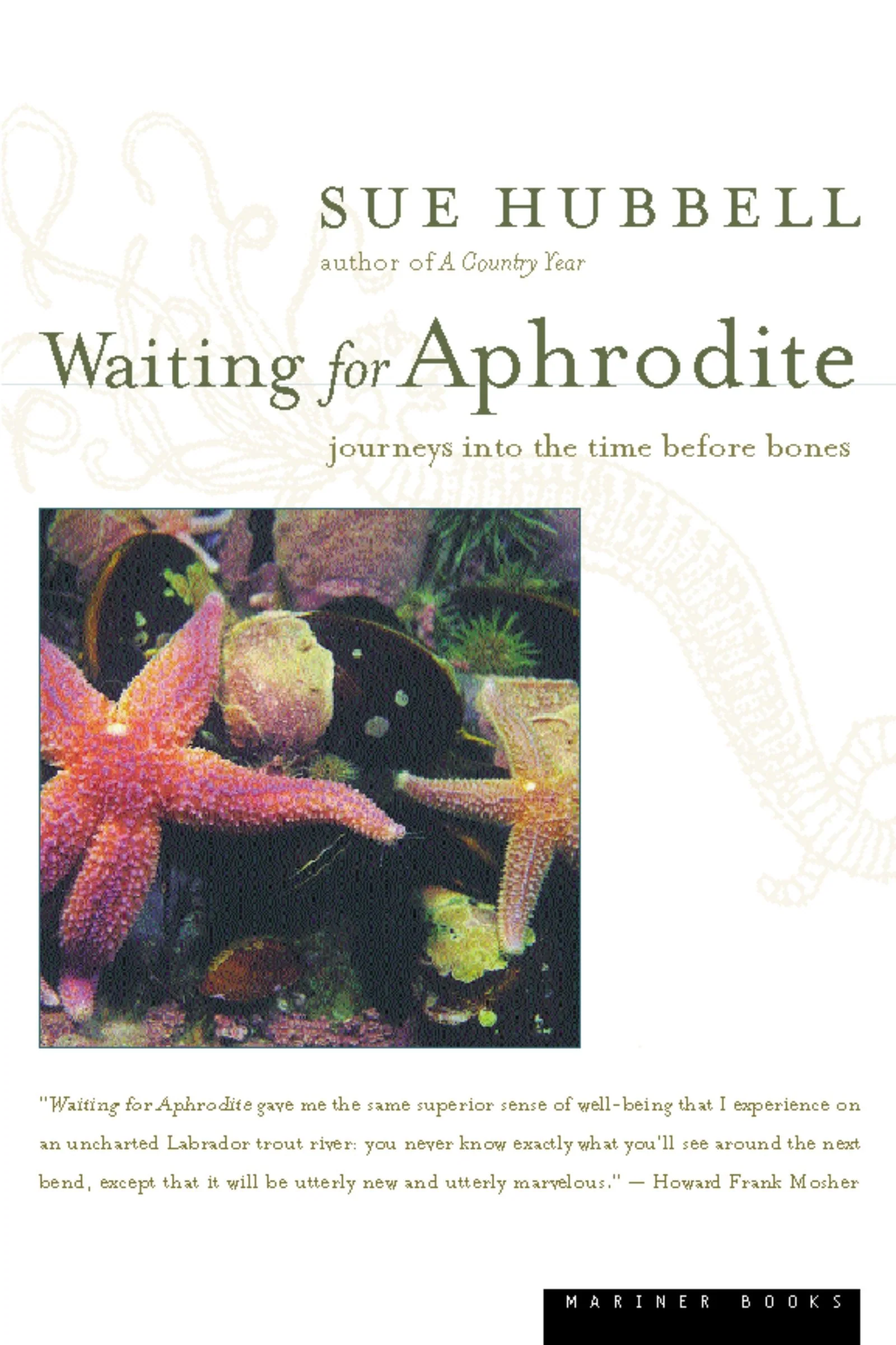 Waiting For Aphrodite - Image 2