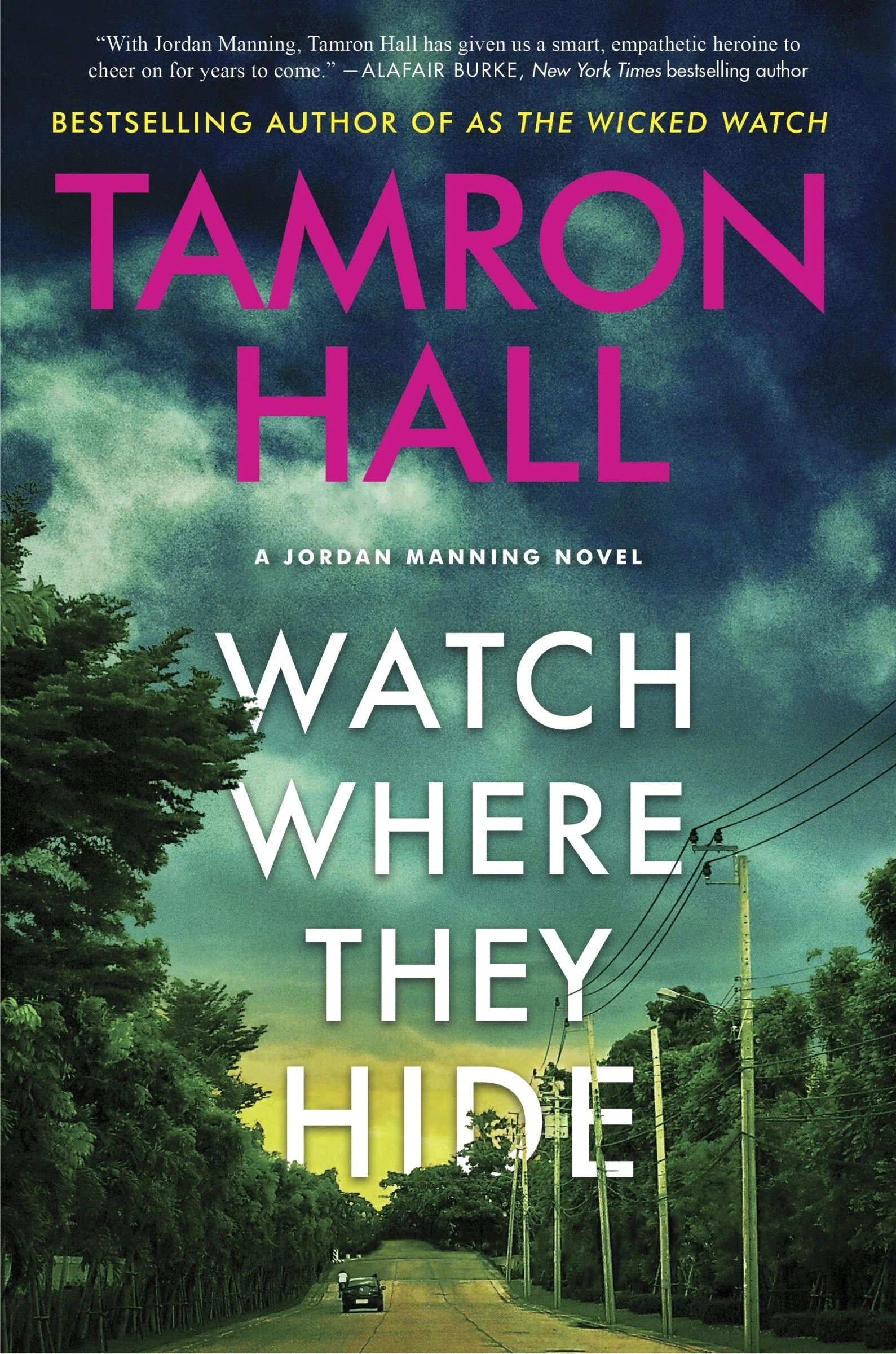 Watch Where They Hide - Image 2