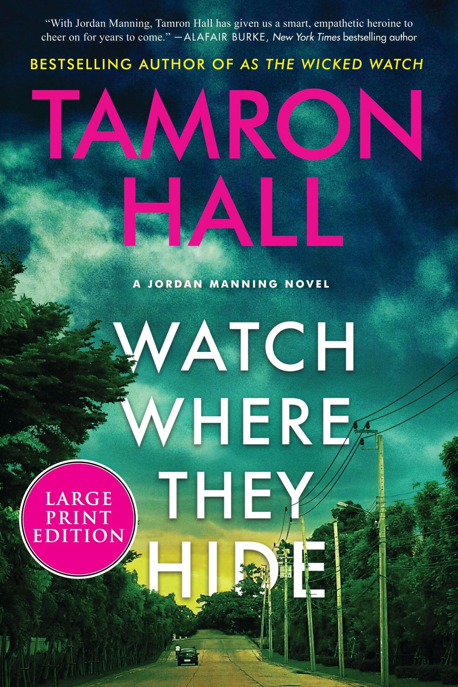 Watch Where They Hide - Image 4