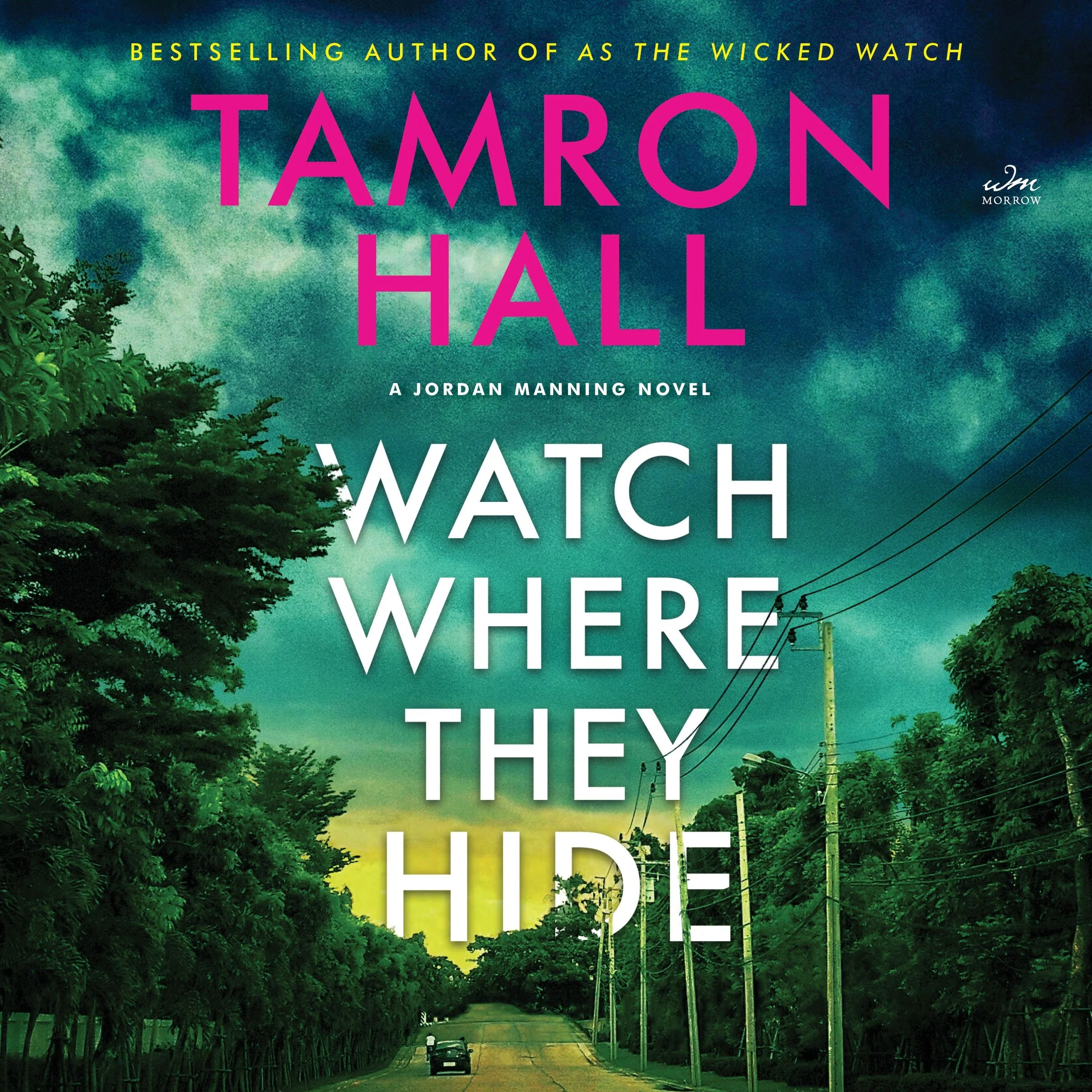 Watch Where They Hide - Image 6