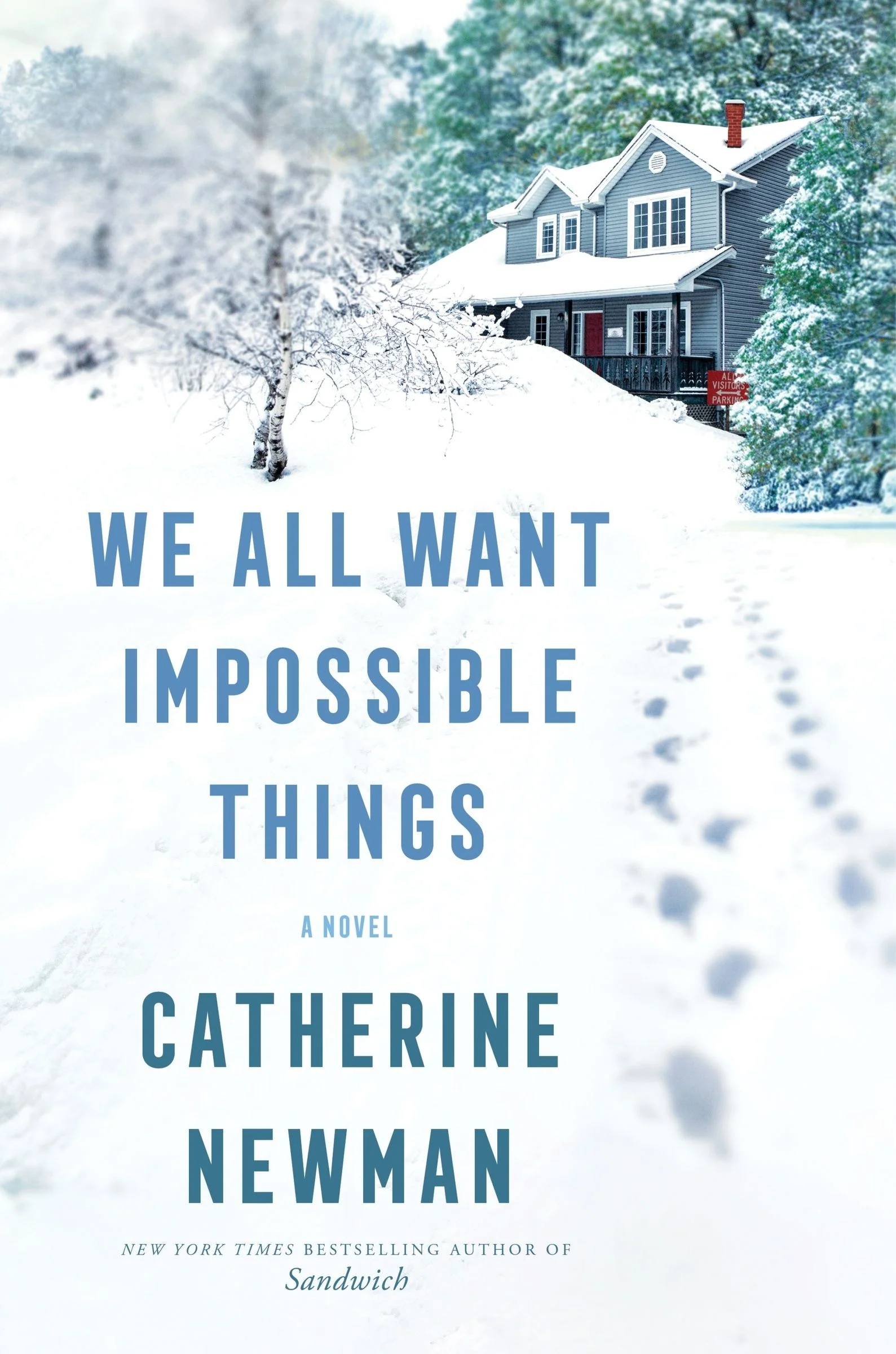 We All Want Impossible Things - Image 2