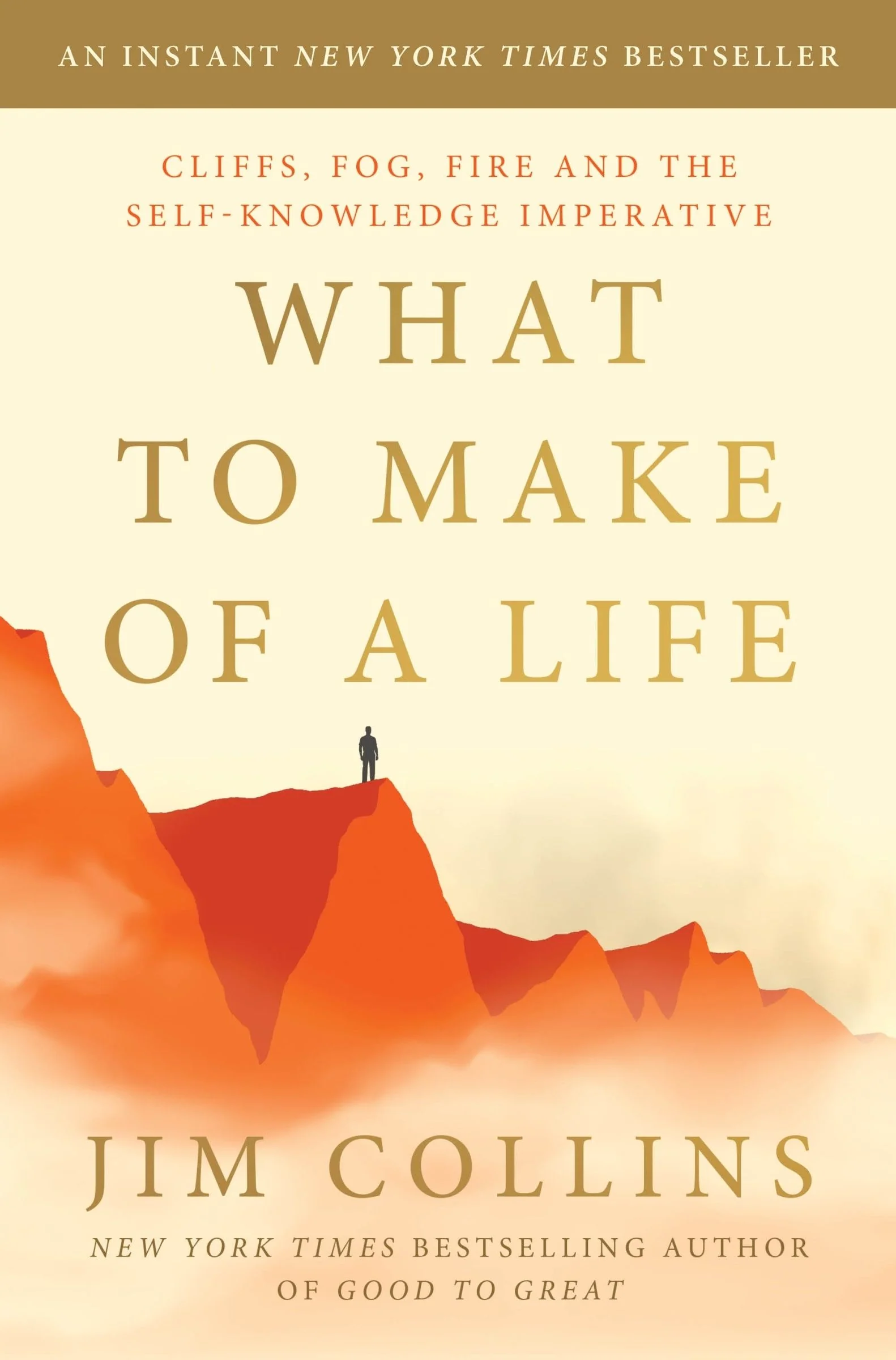 What to Make of a Life - Image 2
