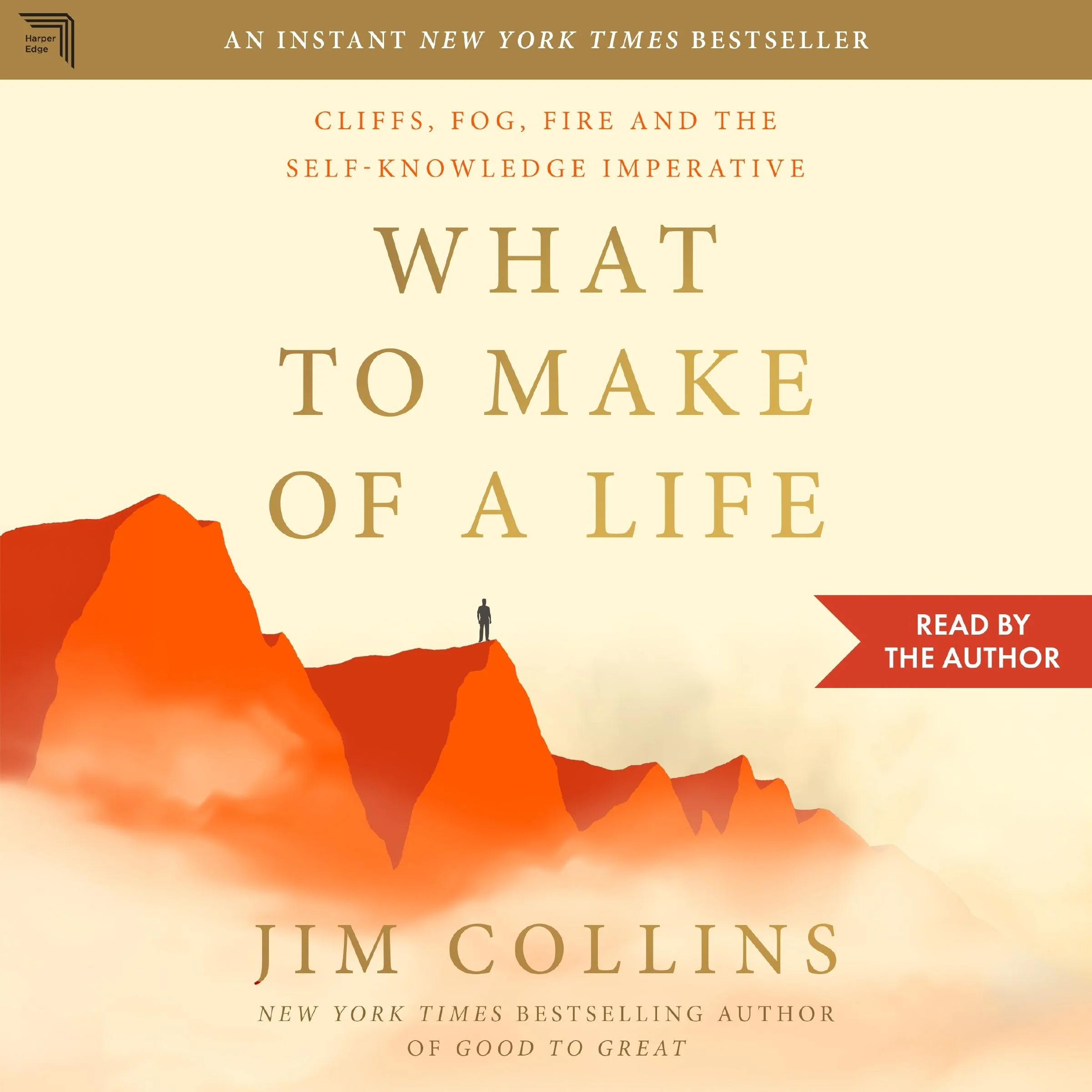 What to Make of a Life - Image 4