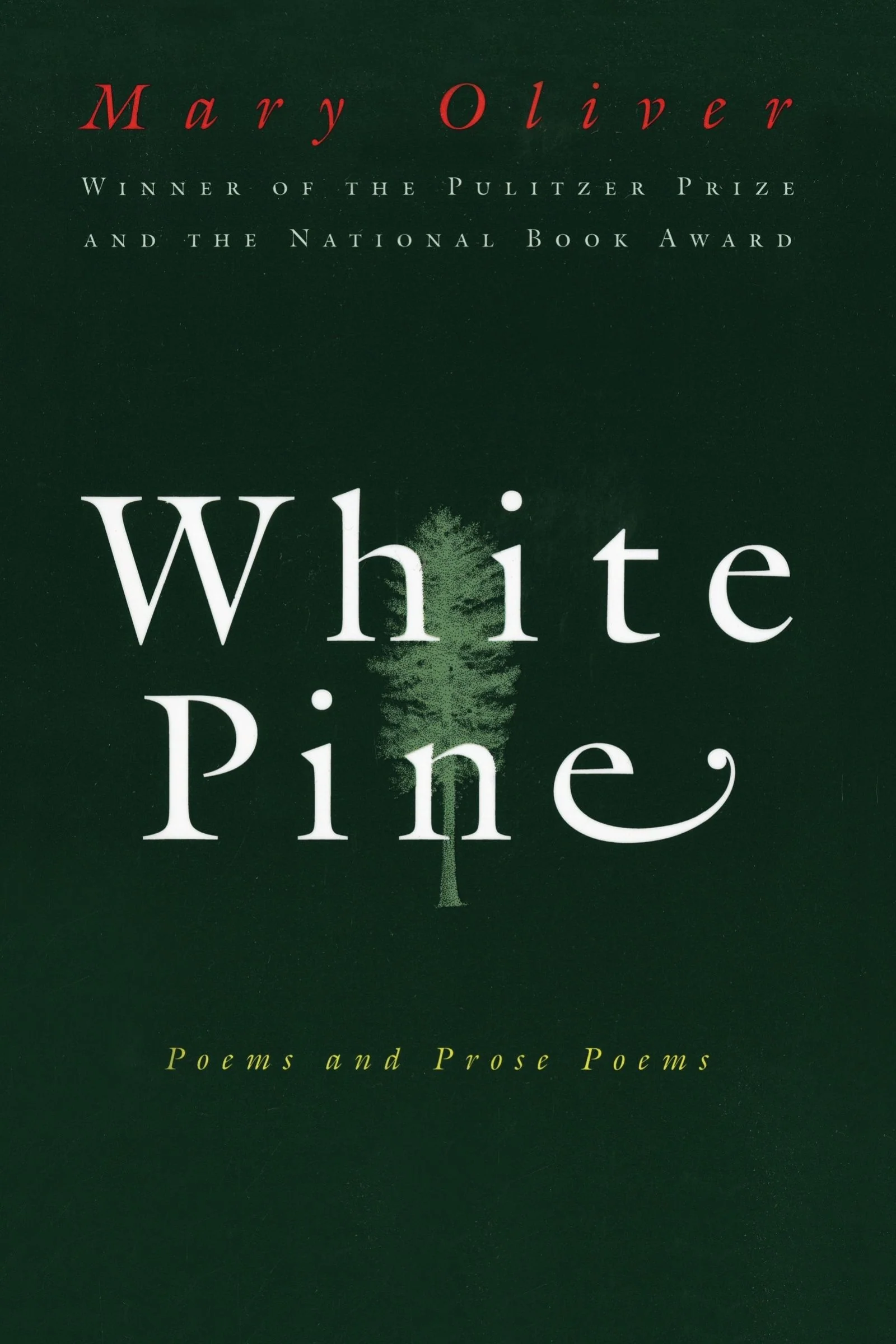 White Pine - Image 3