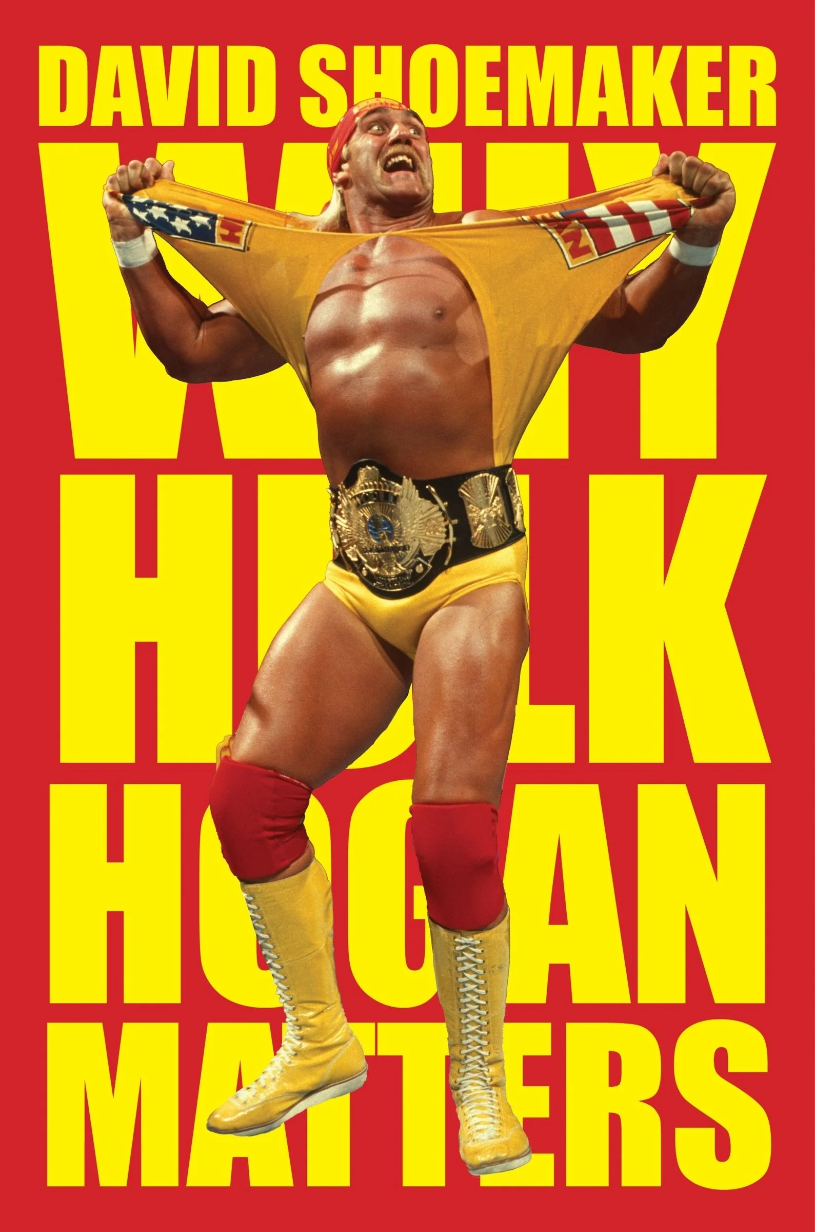 Why Hulk Hogan Matters - Image 3