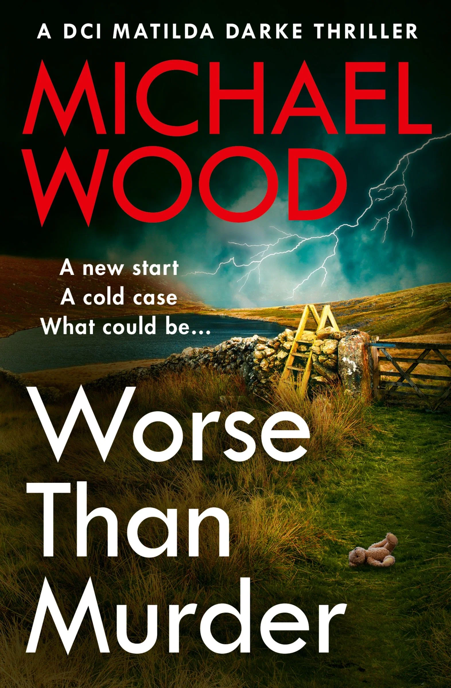 Worse Than Murder (DCI Matilda Darke Thriller, Book 13) - Image 2