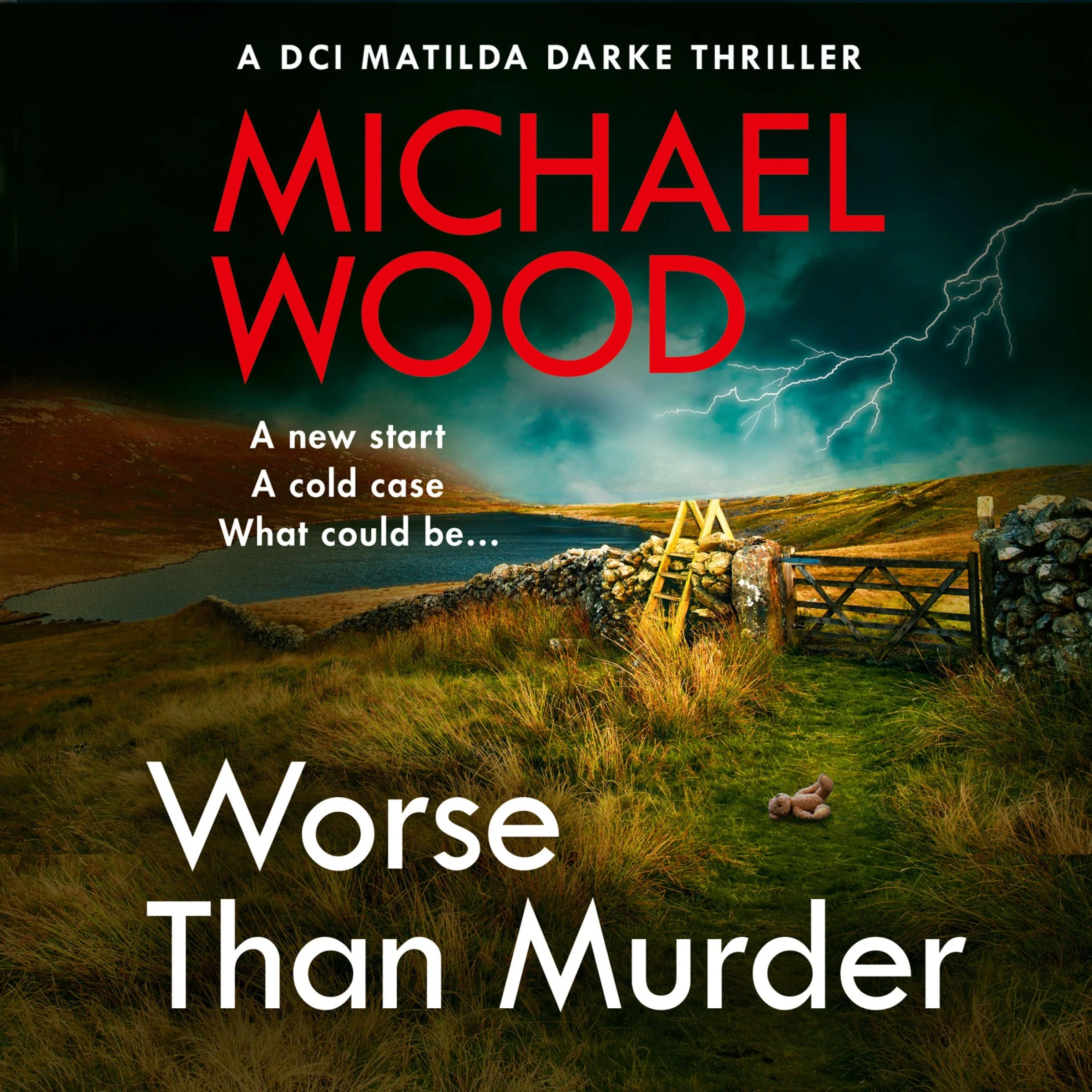 Worse Than Murder (DCI Matilda Darke Thriller, Book 13) - Image 3