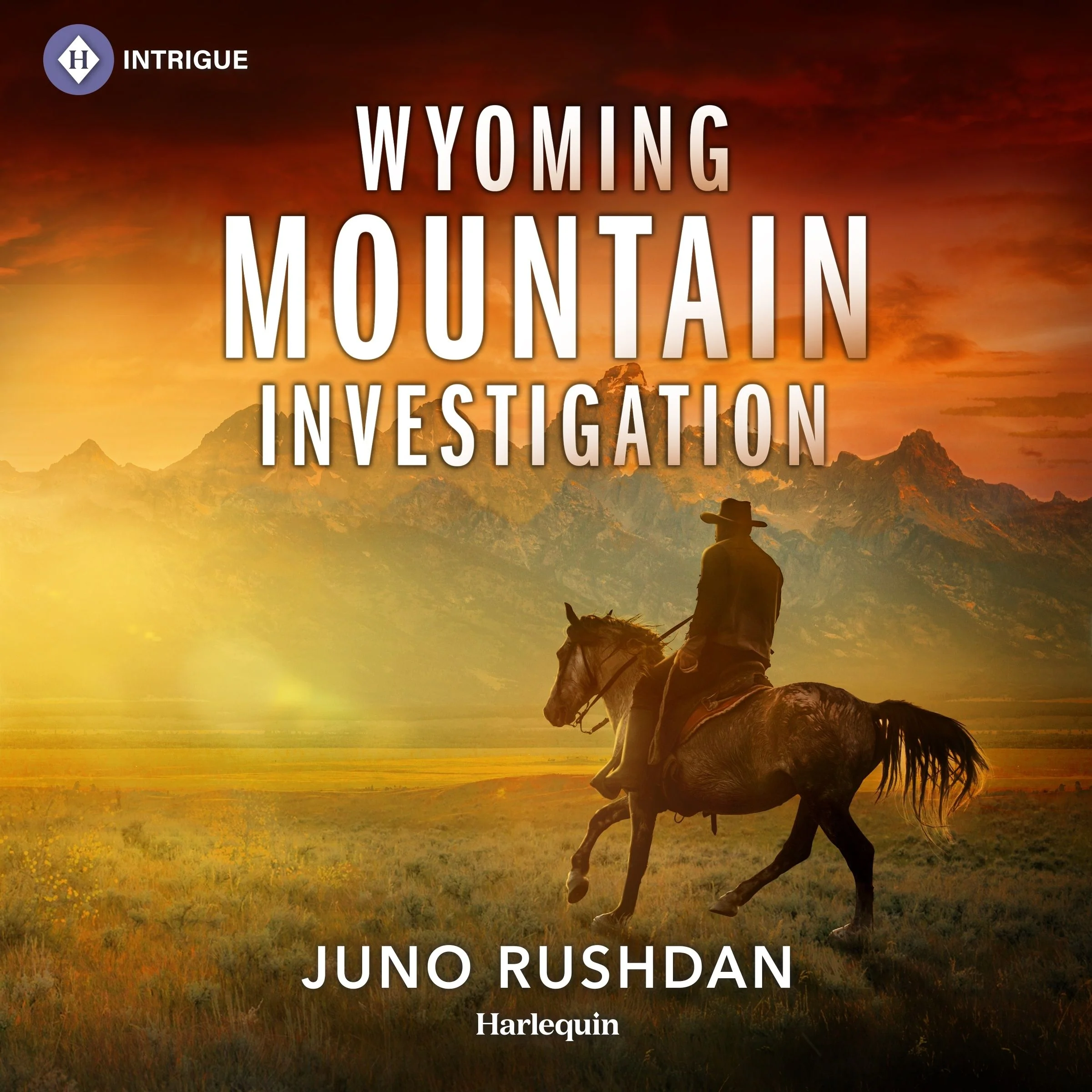 Wyoming Mountain Investigation - Image 2