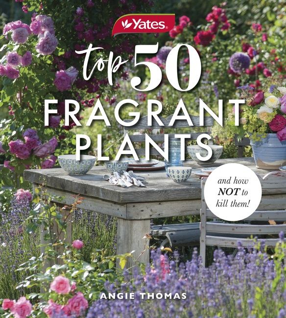 Yates Top 50 Fragrant Plants and How Not to Kill Them! - Image 2