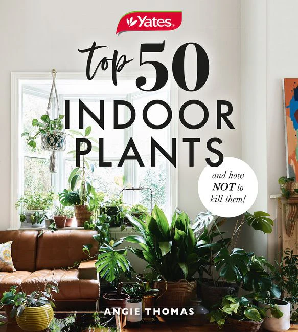 Yates Top 50 Indoor Plants And How Not To Kill Them! - Image 2